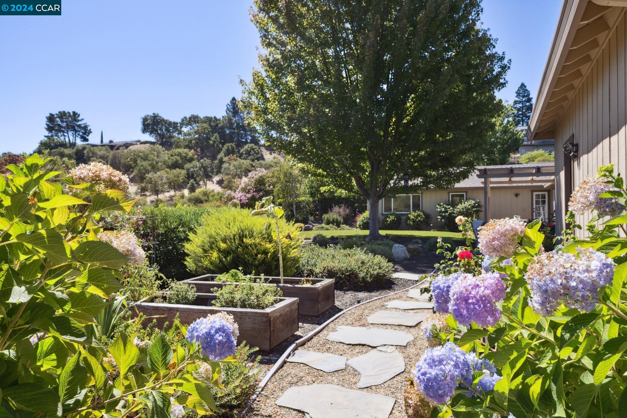 201 Tiburon Court
