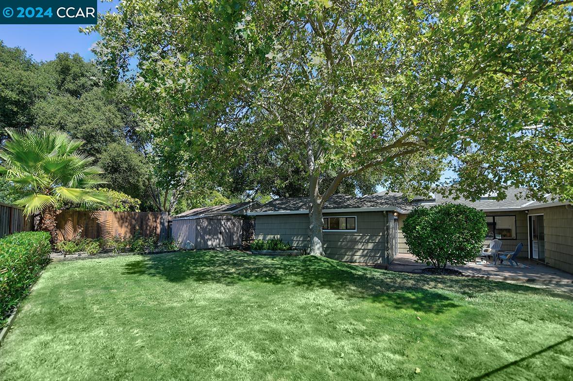 1041 El Curtola Blvd