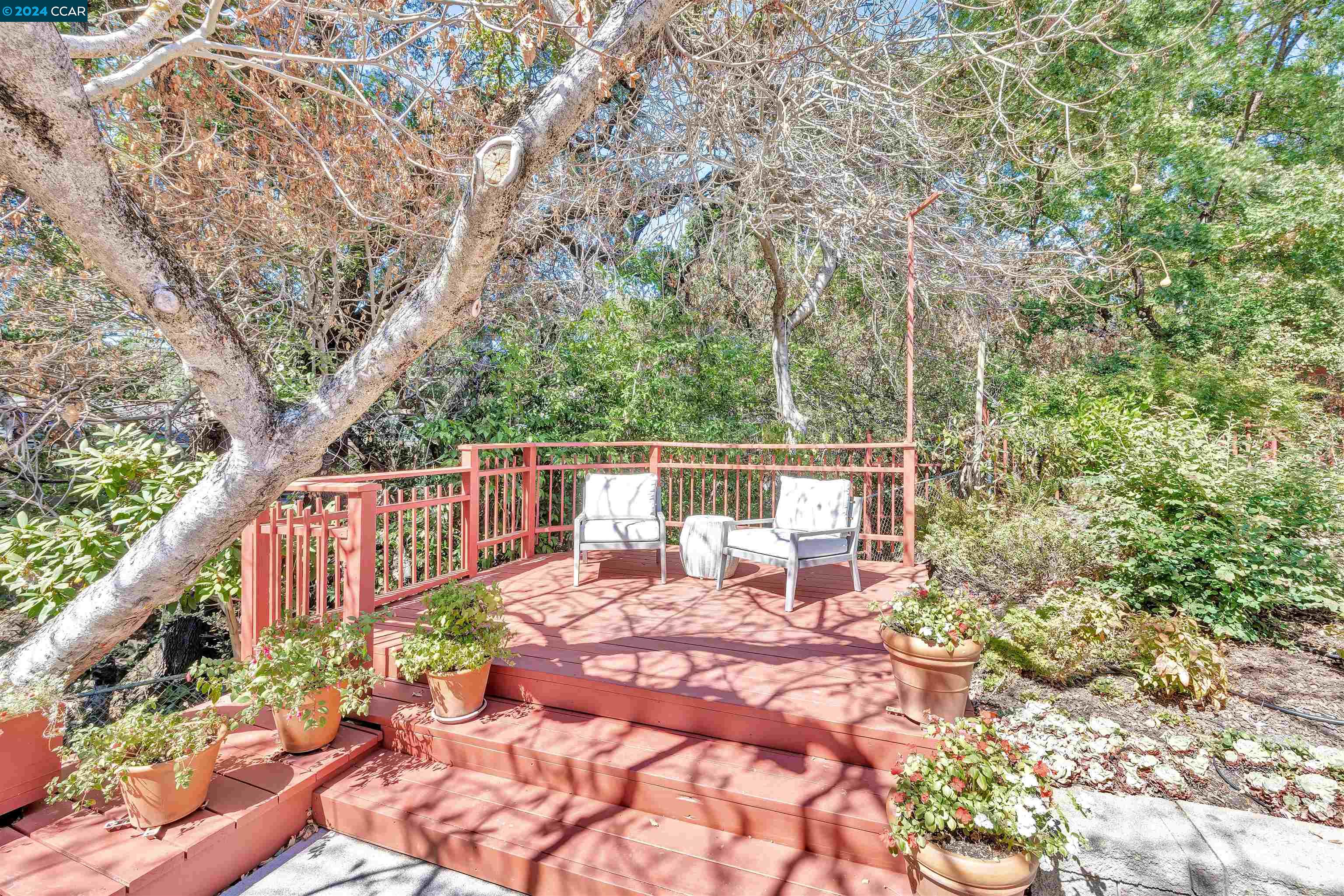 312 Buckeye Ct