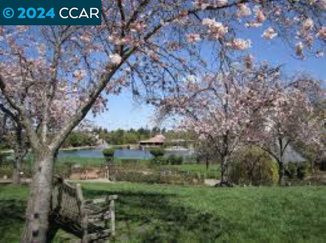 2838 Encina Camino