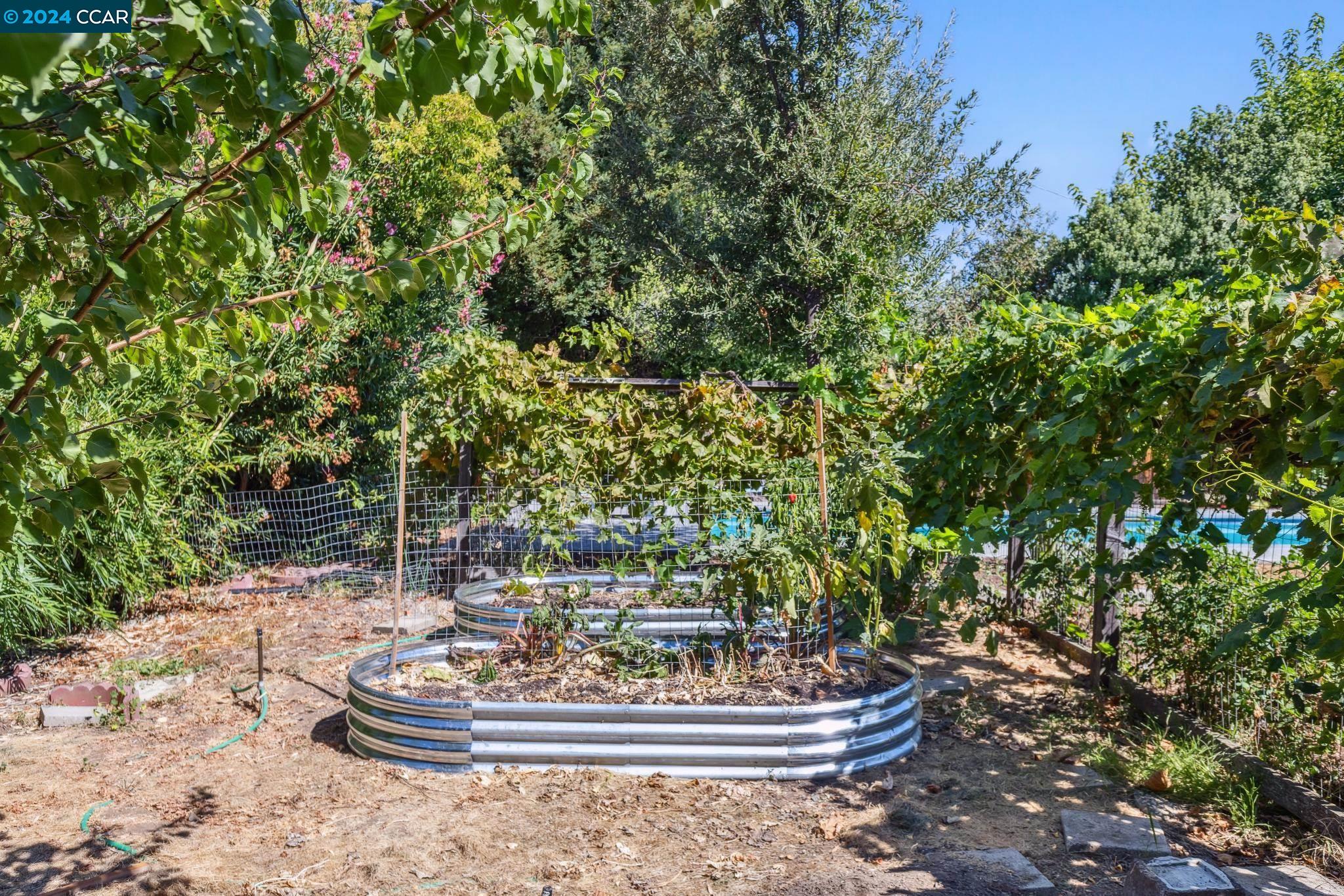 2838 Encina Camino