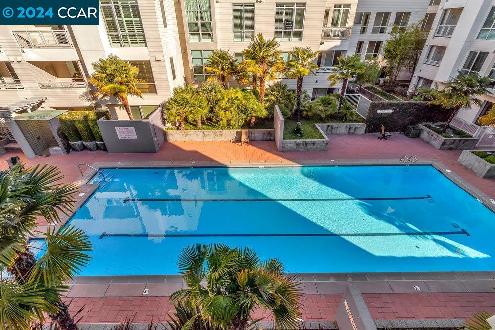 1655 N CALIFORNIA # 434