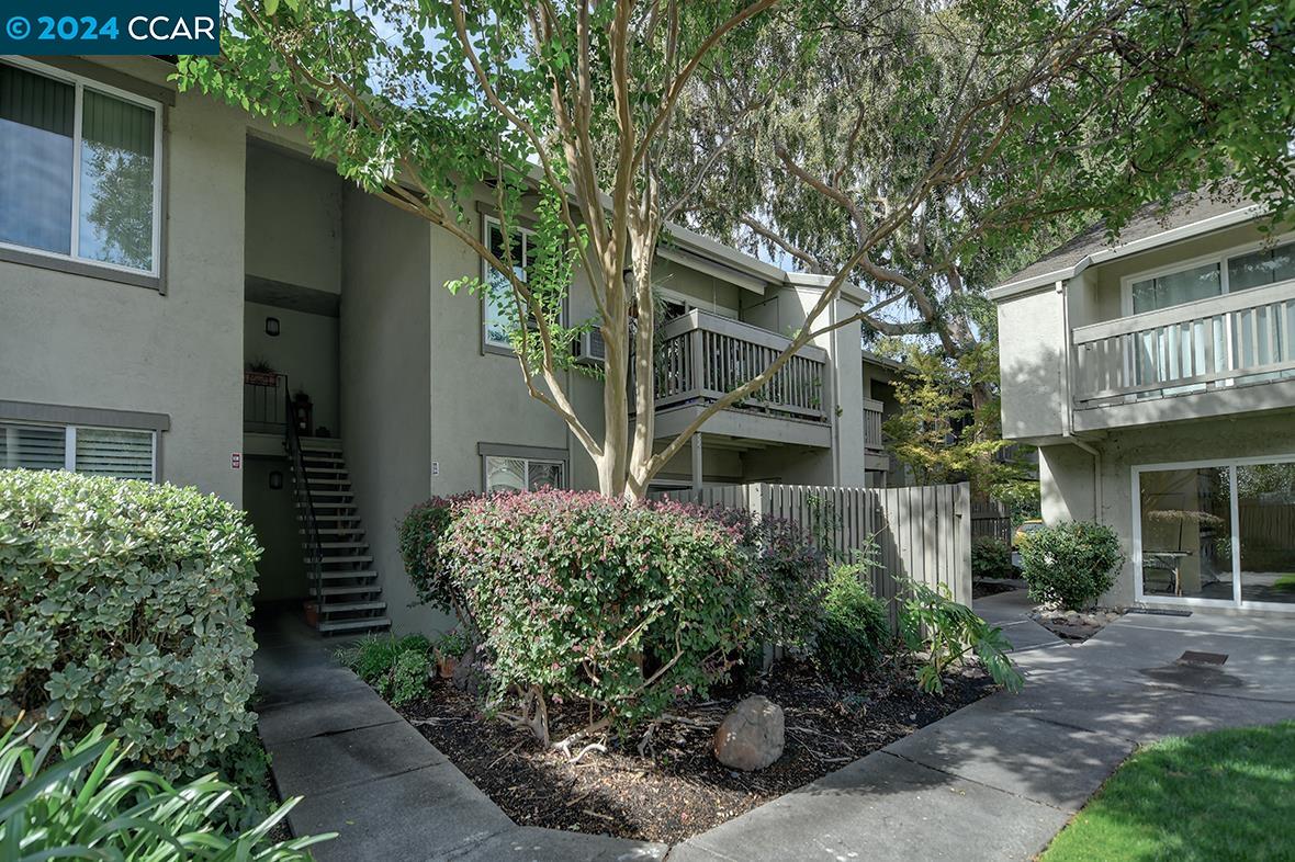 2564 WALNUT BOULEVARD # 110