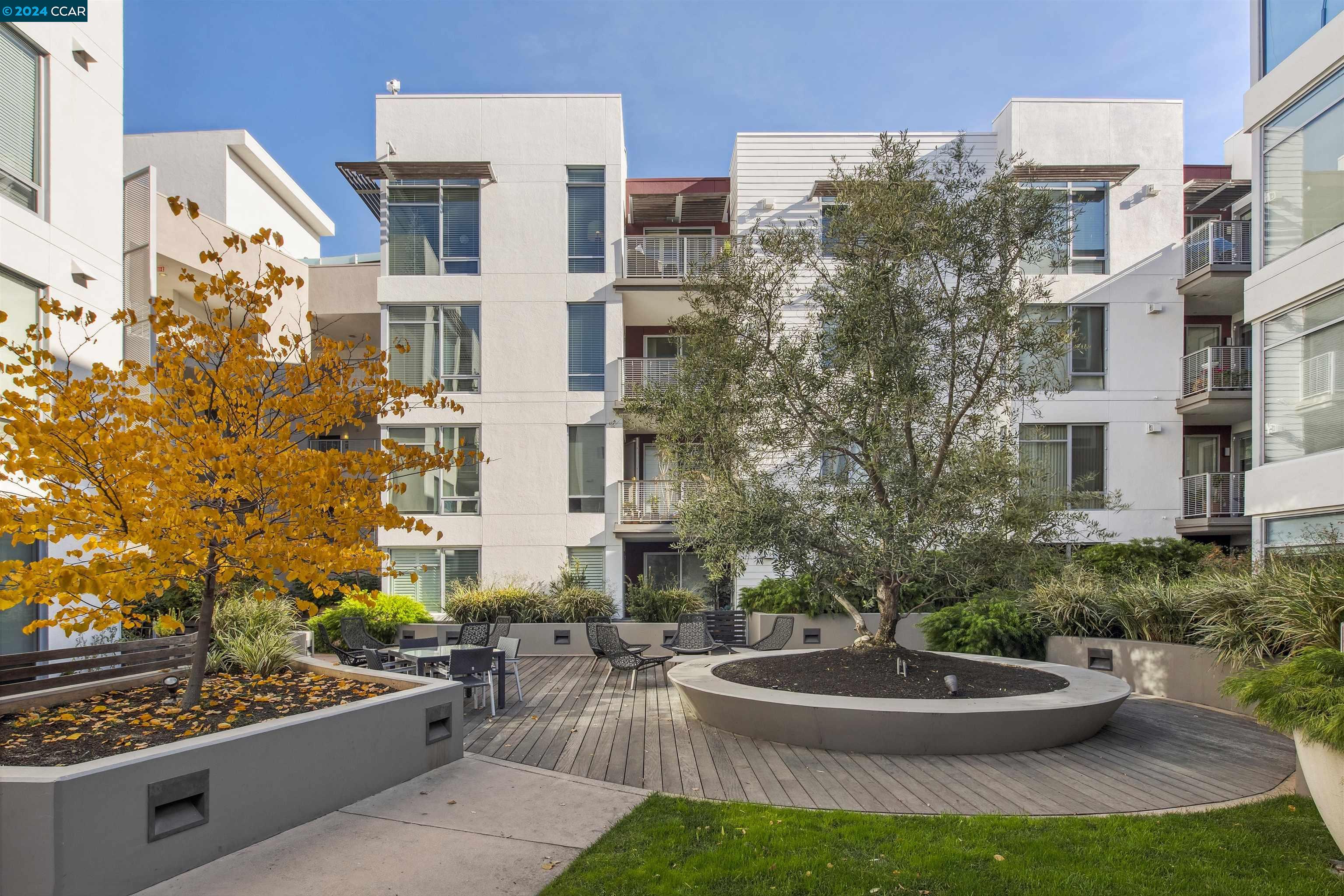 555 Ygnacio Valley Rd # 319