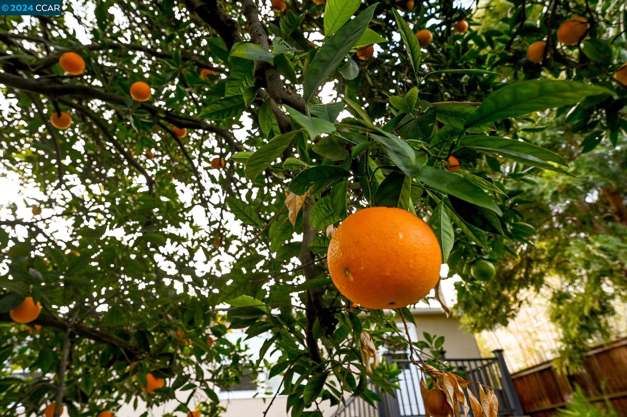 221 Gilger Ave