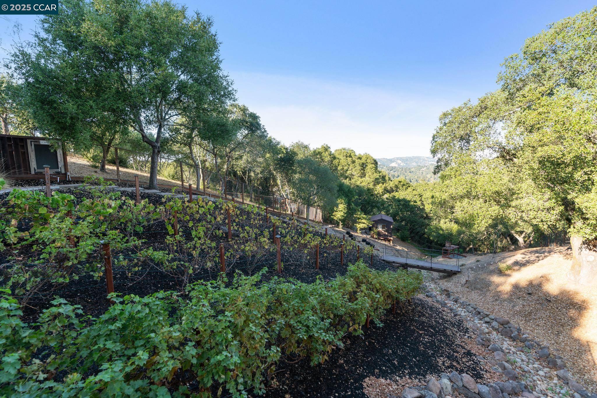 174 Crestview Dr