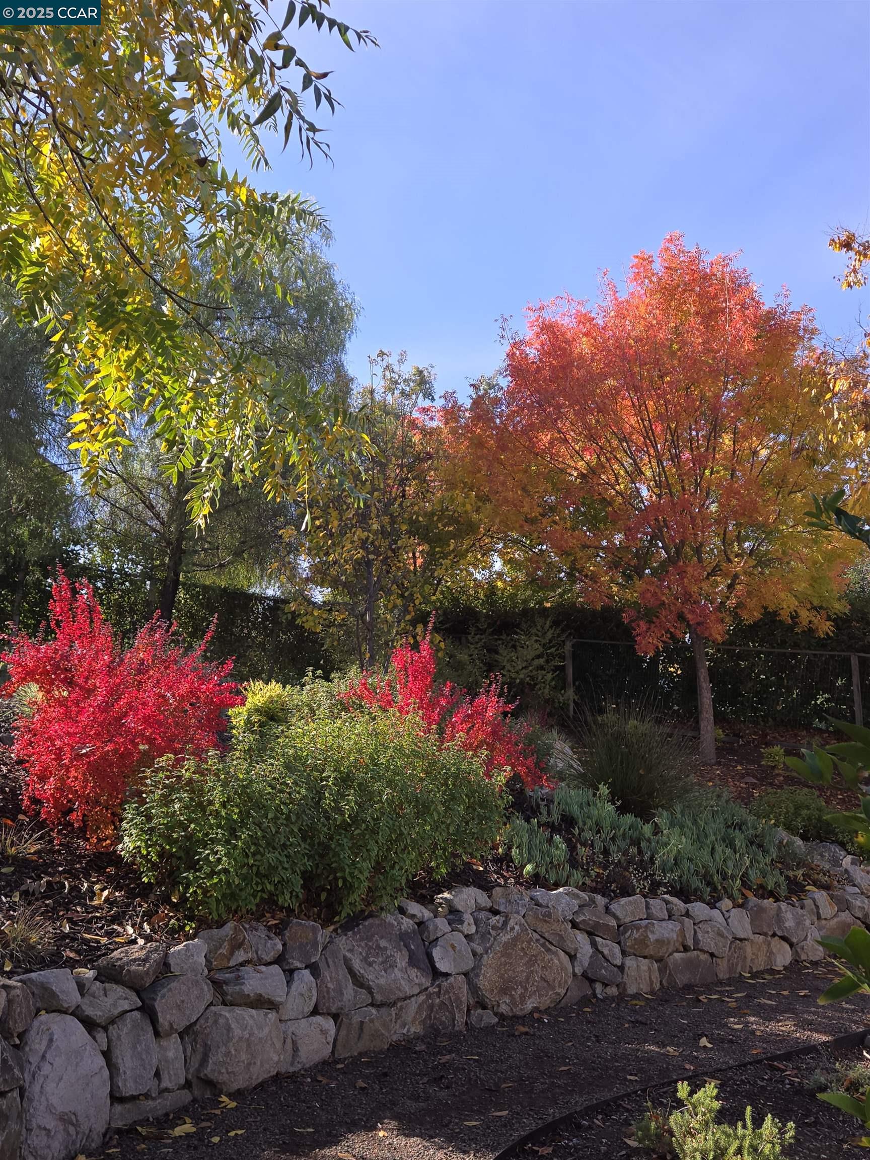 1180 Vista Ridge Ct.