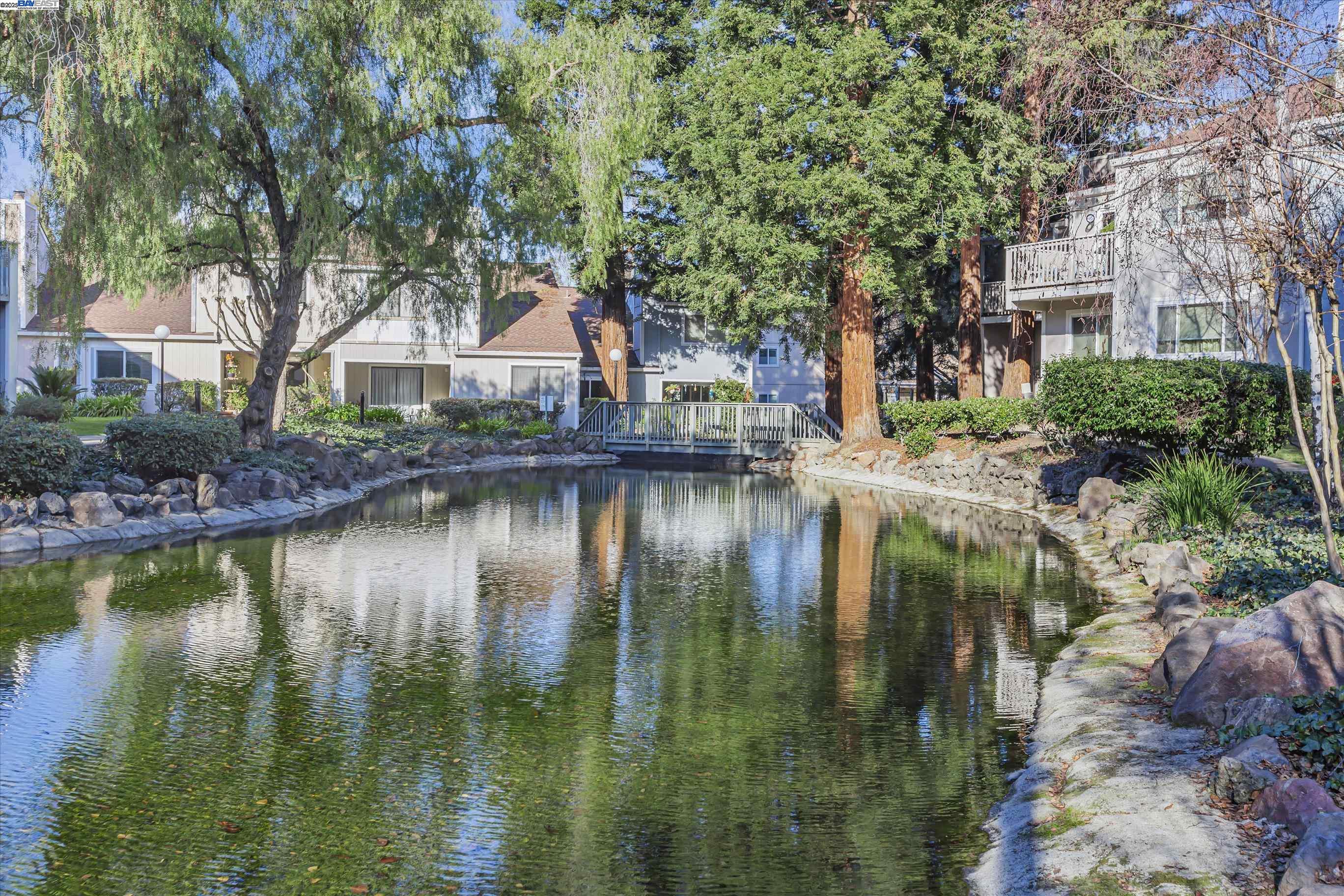 351 Scottsdale Rd