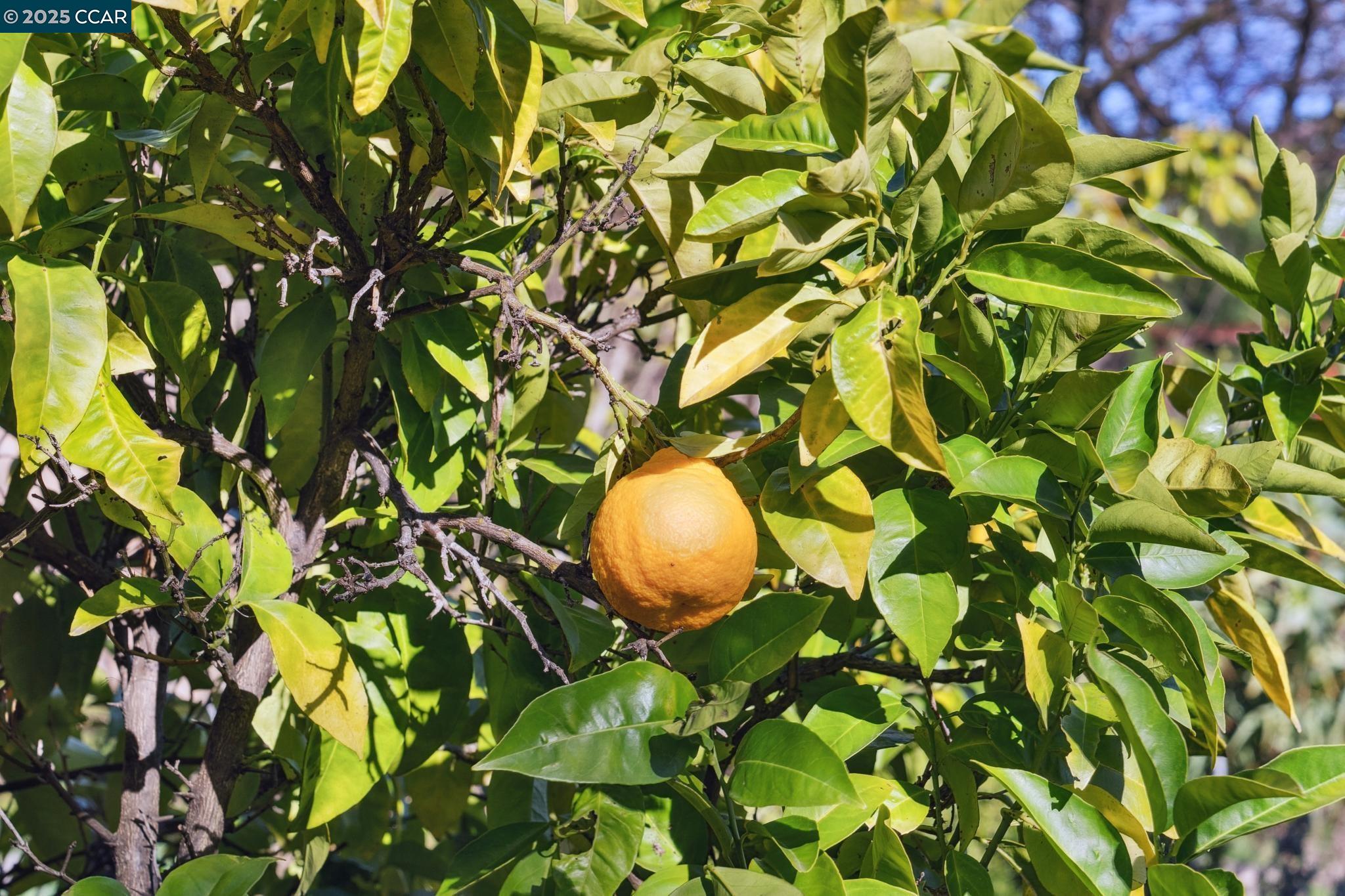 171 Camino Del Sol