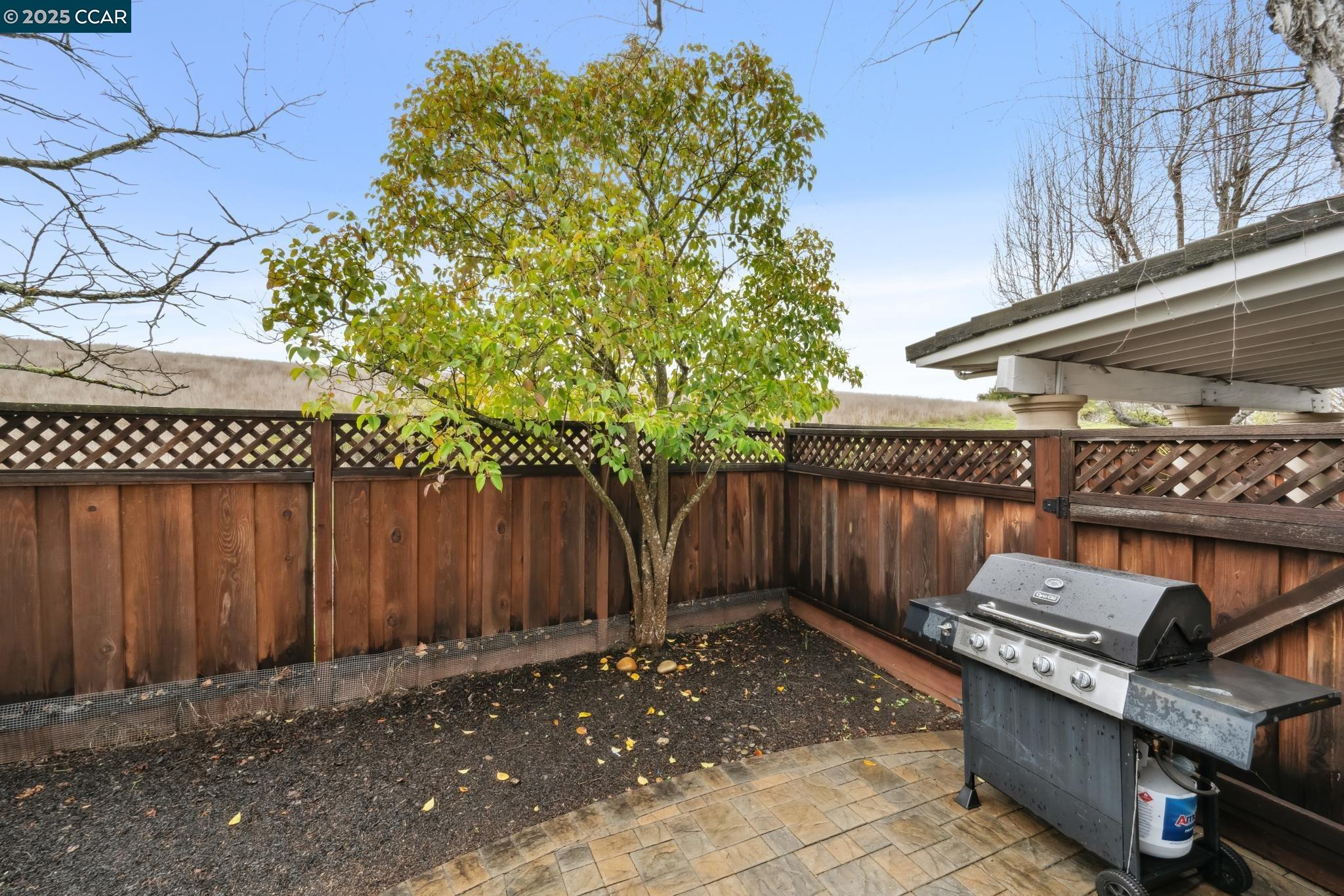 317 W Meadows Ln