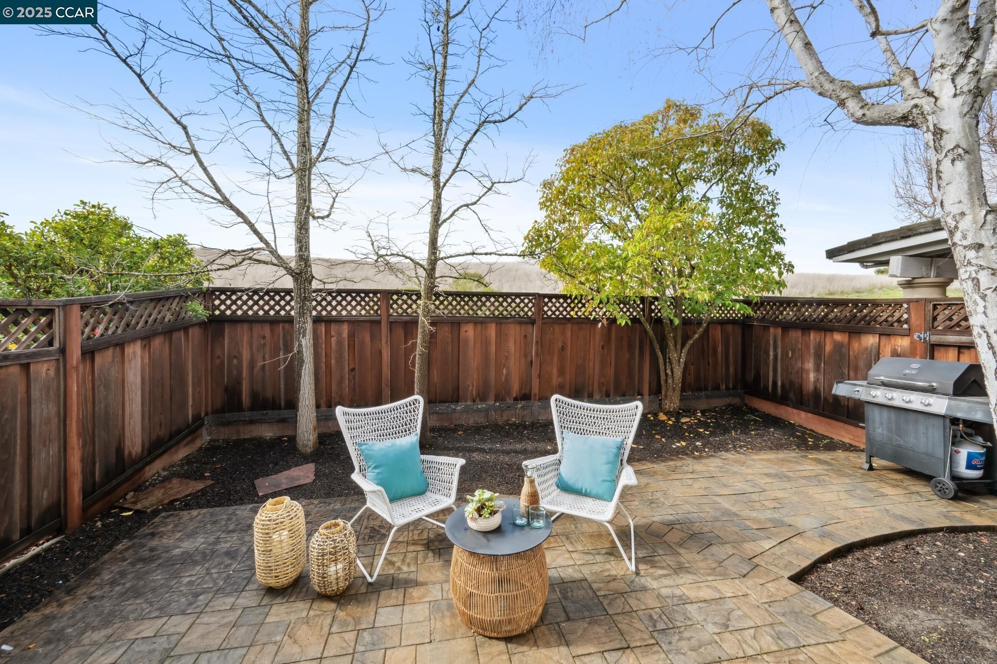 317 W Meadows Ln