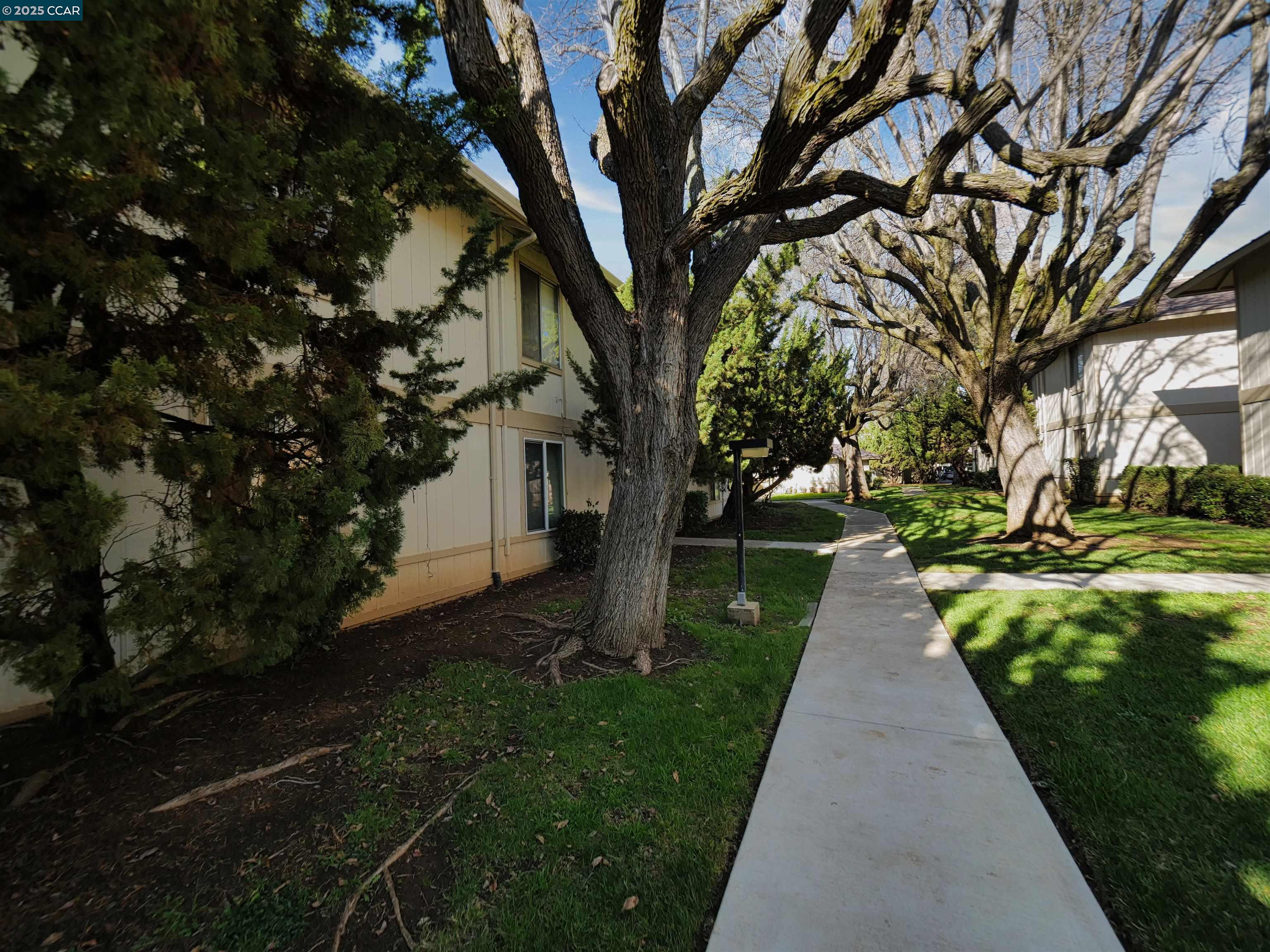 4260 Clayton Road # 39