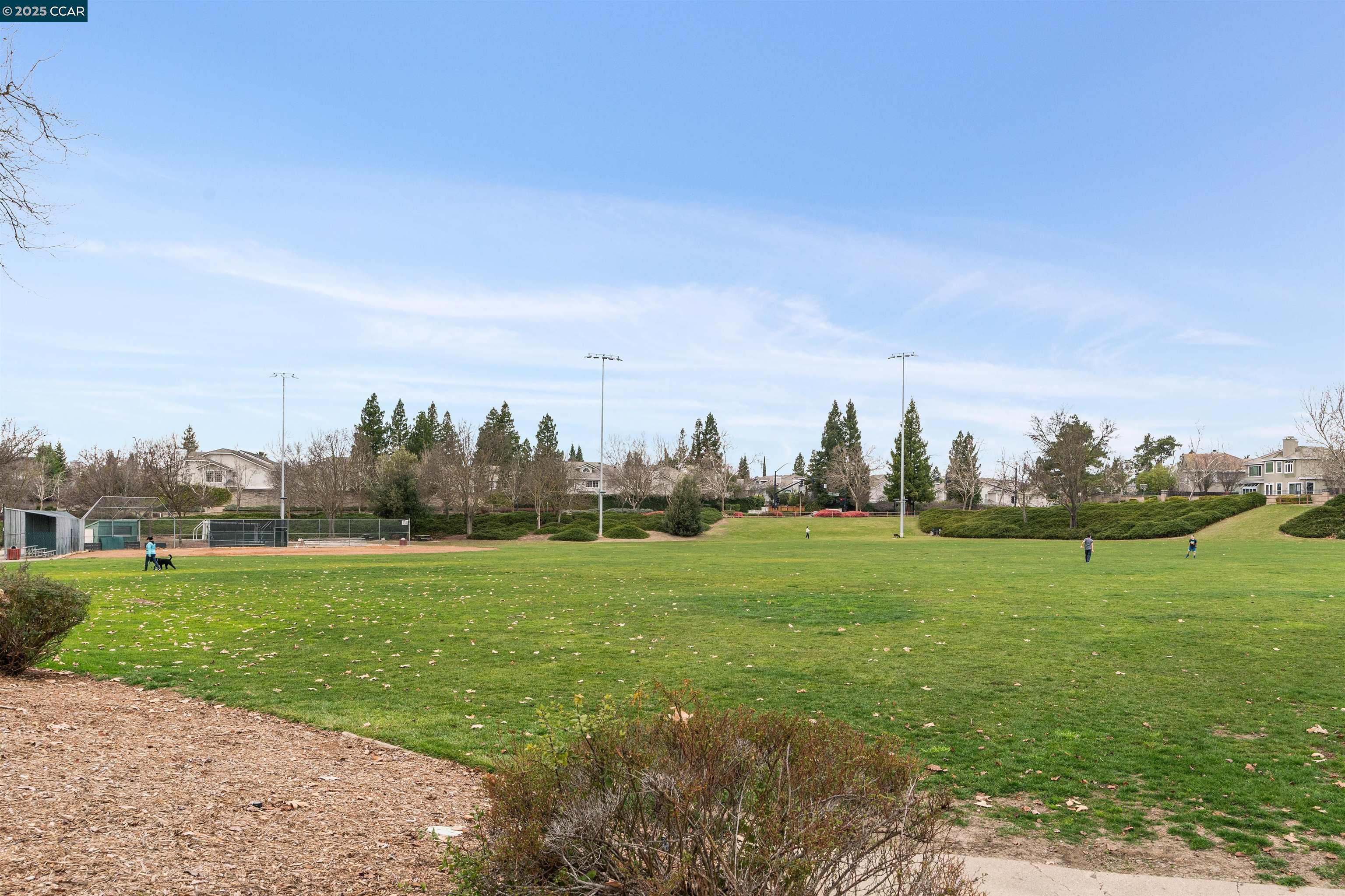 165 Blackstone Dr