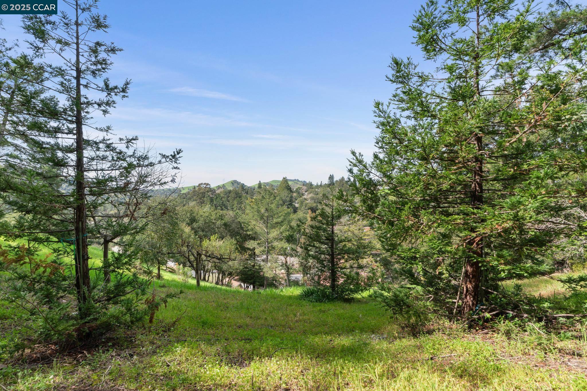 128 Ardith Dr