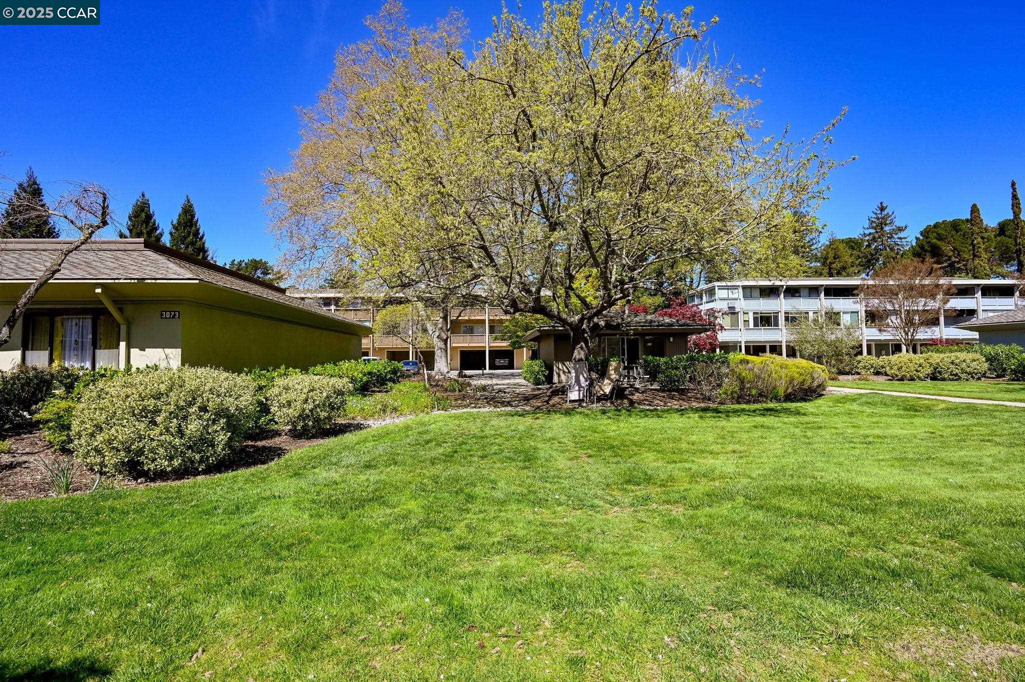 3117 Golden Rain Rd # 3