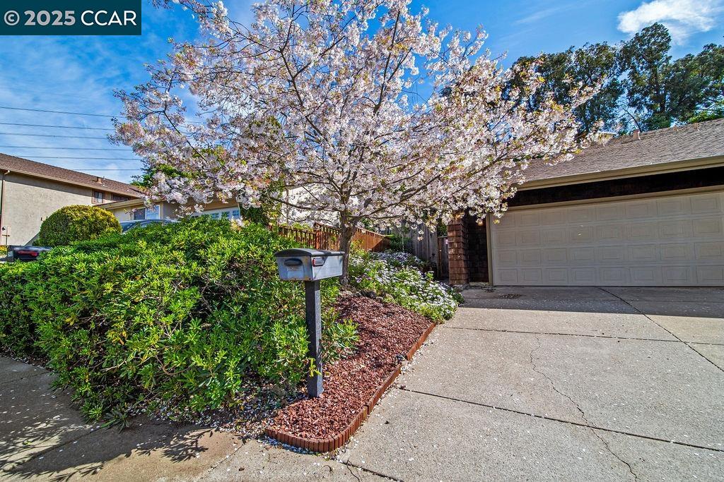 244 Sunnybrae Drive