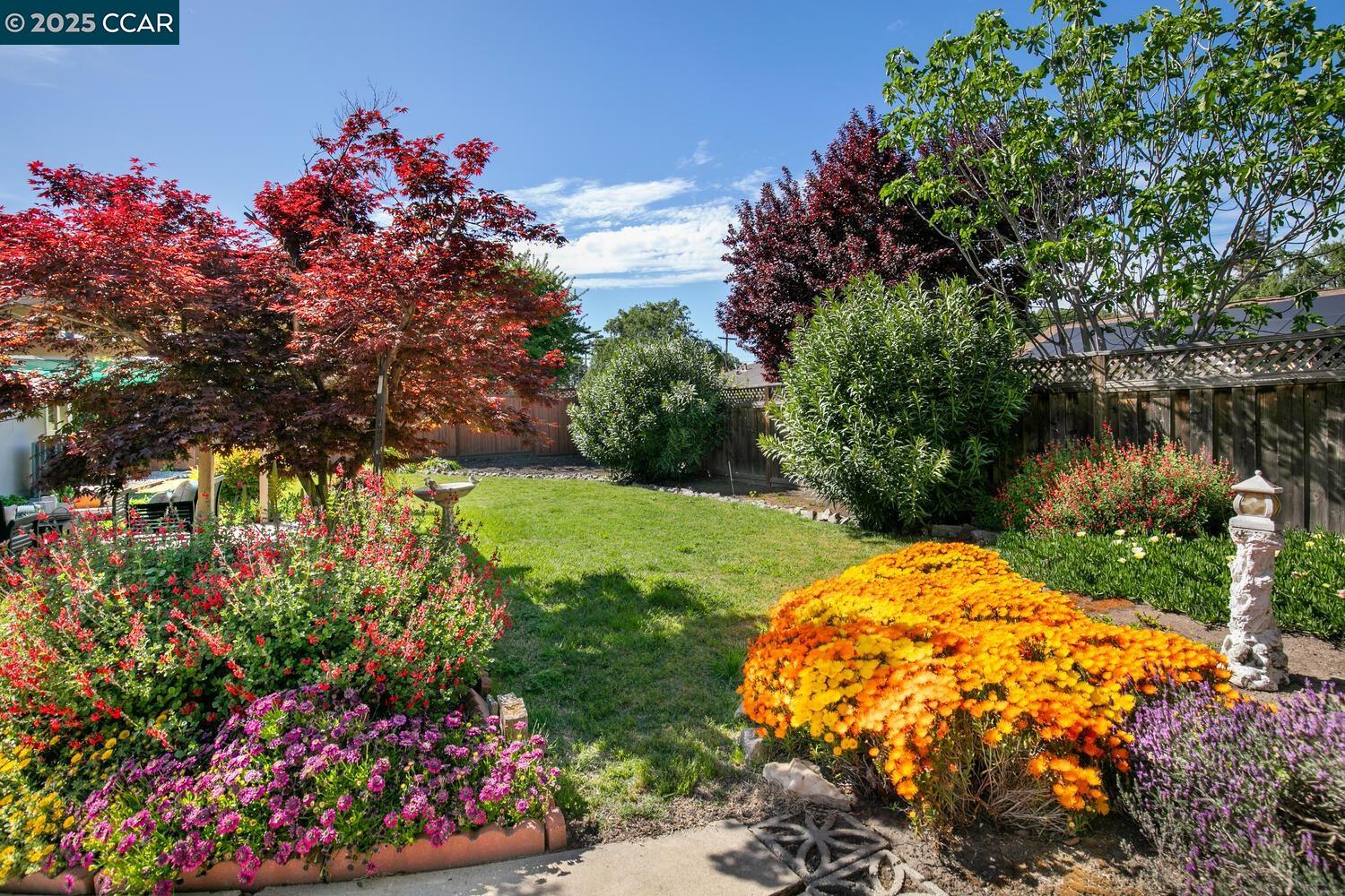 187 Elaine Dr