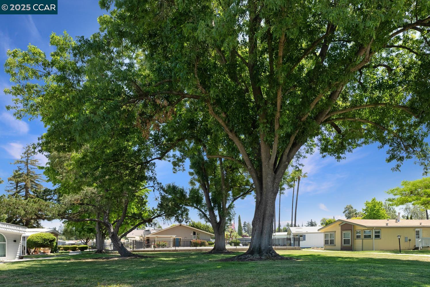 2019 Dalis Drive # 42 Unit: #42