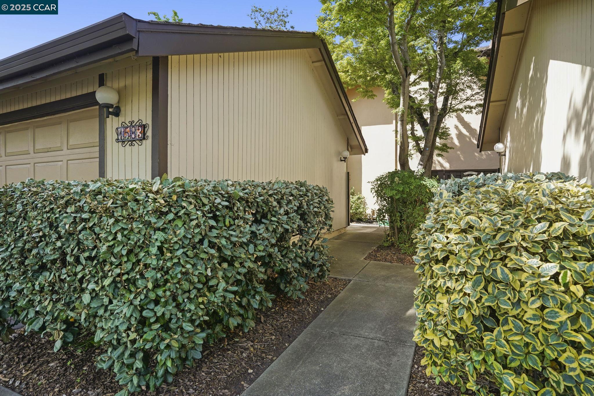 1583 Candelero Dr