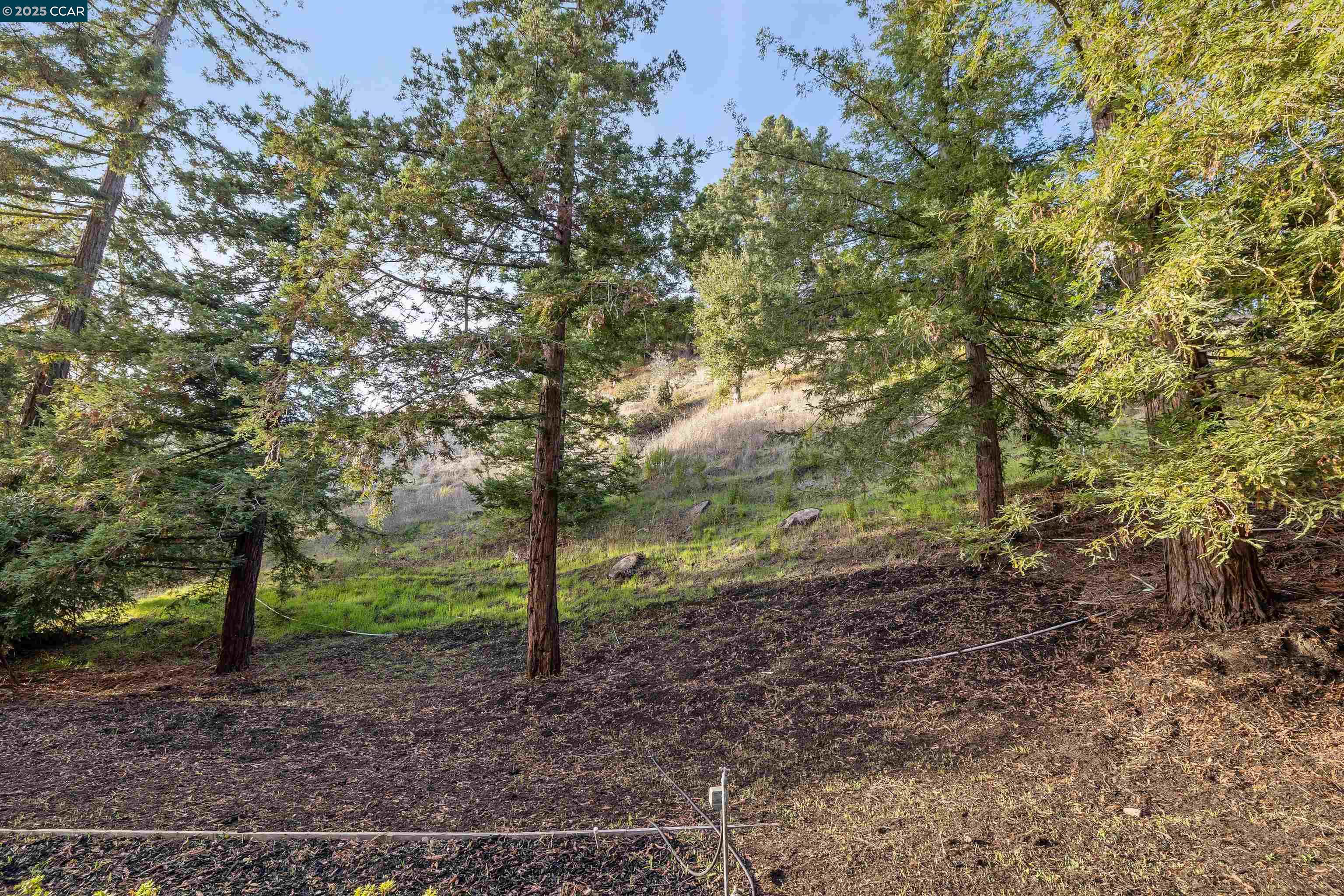4104 El Nido Ranch Rd