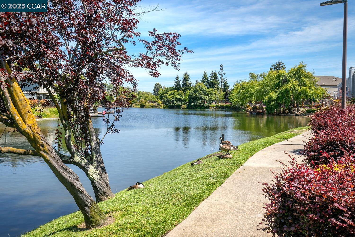 23 Shepardson Ln