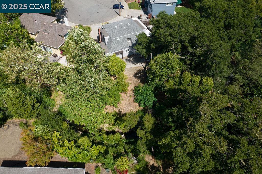 603 Plumas Ct
