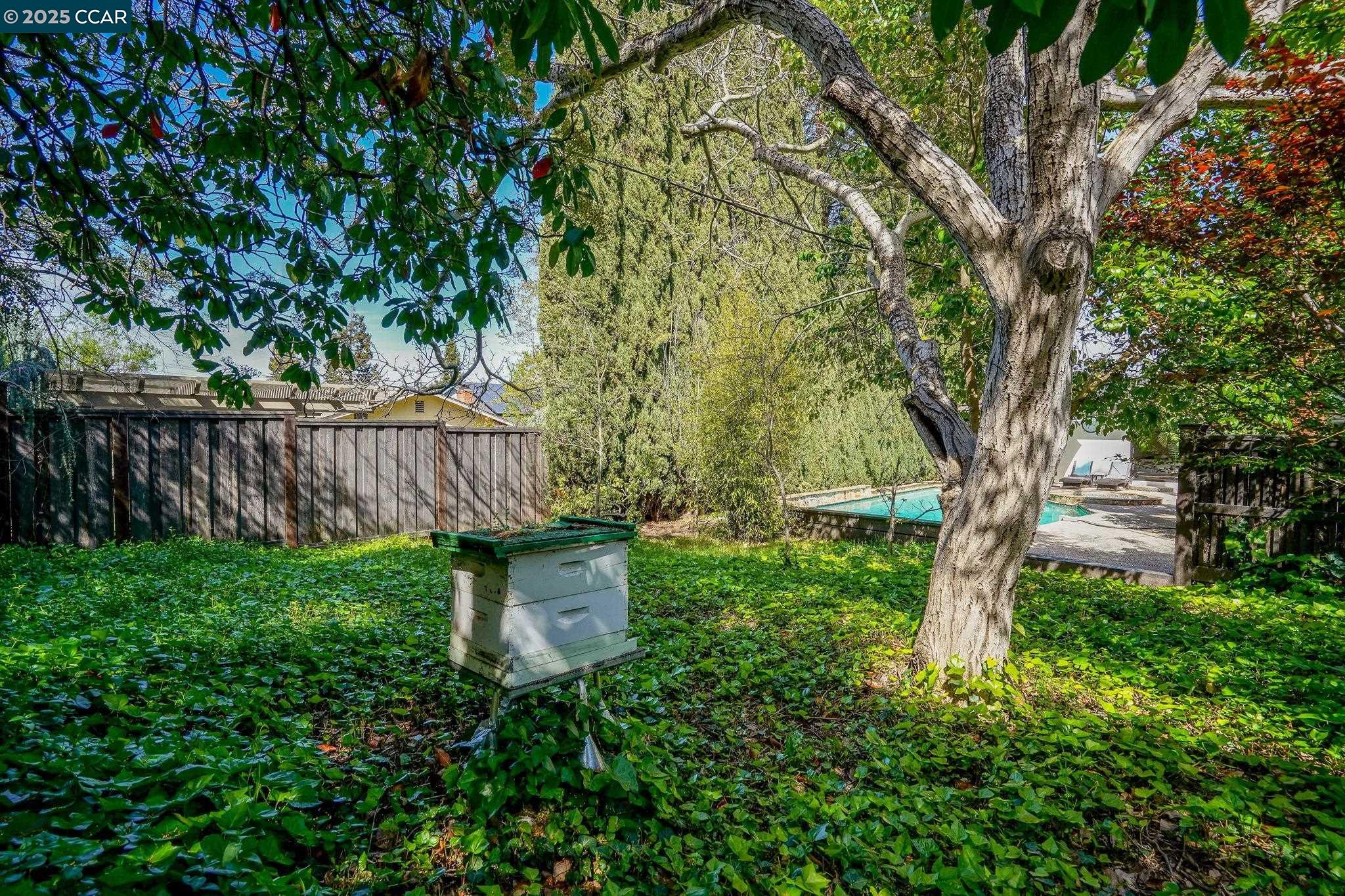 4421 Canyon Way