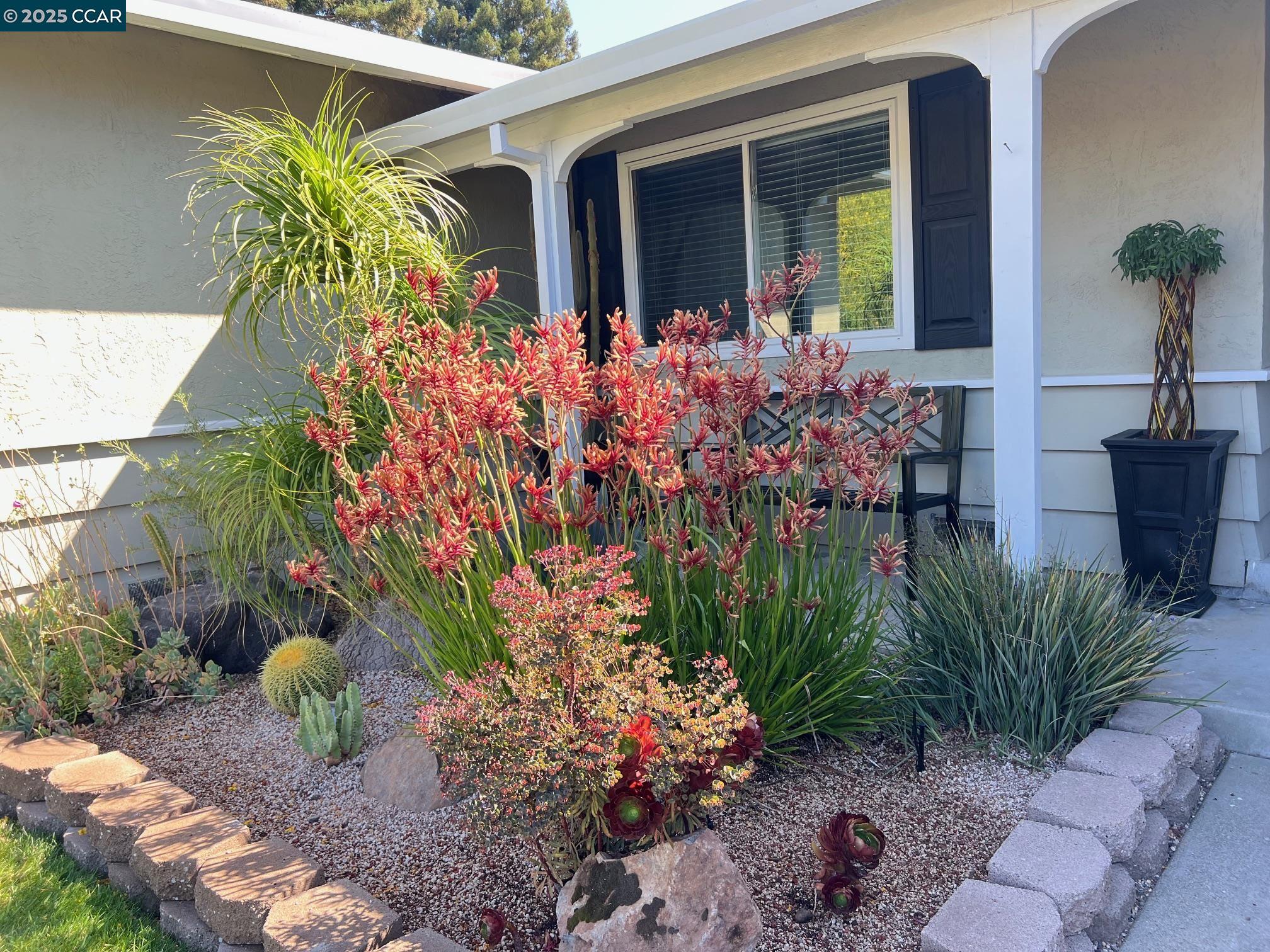 746 San Gabriel Ct
