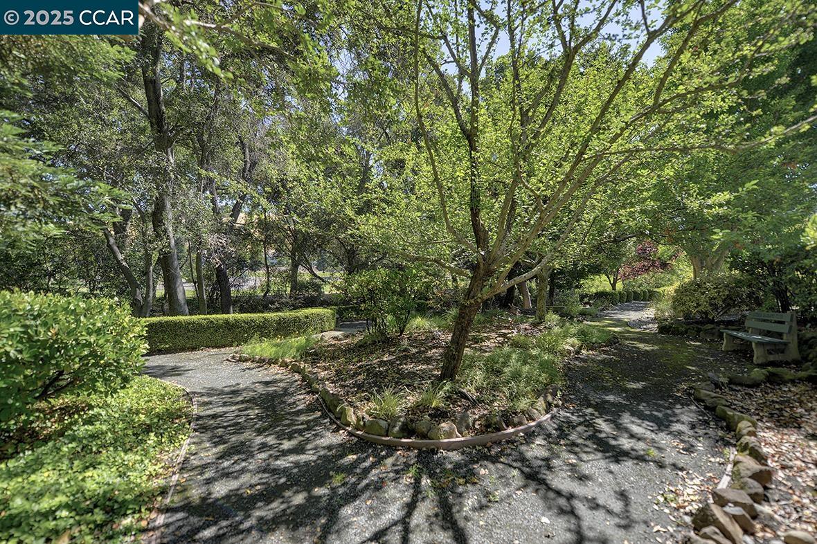 3474 Tice Creek Dr # 8