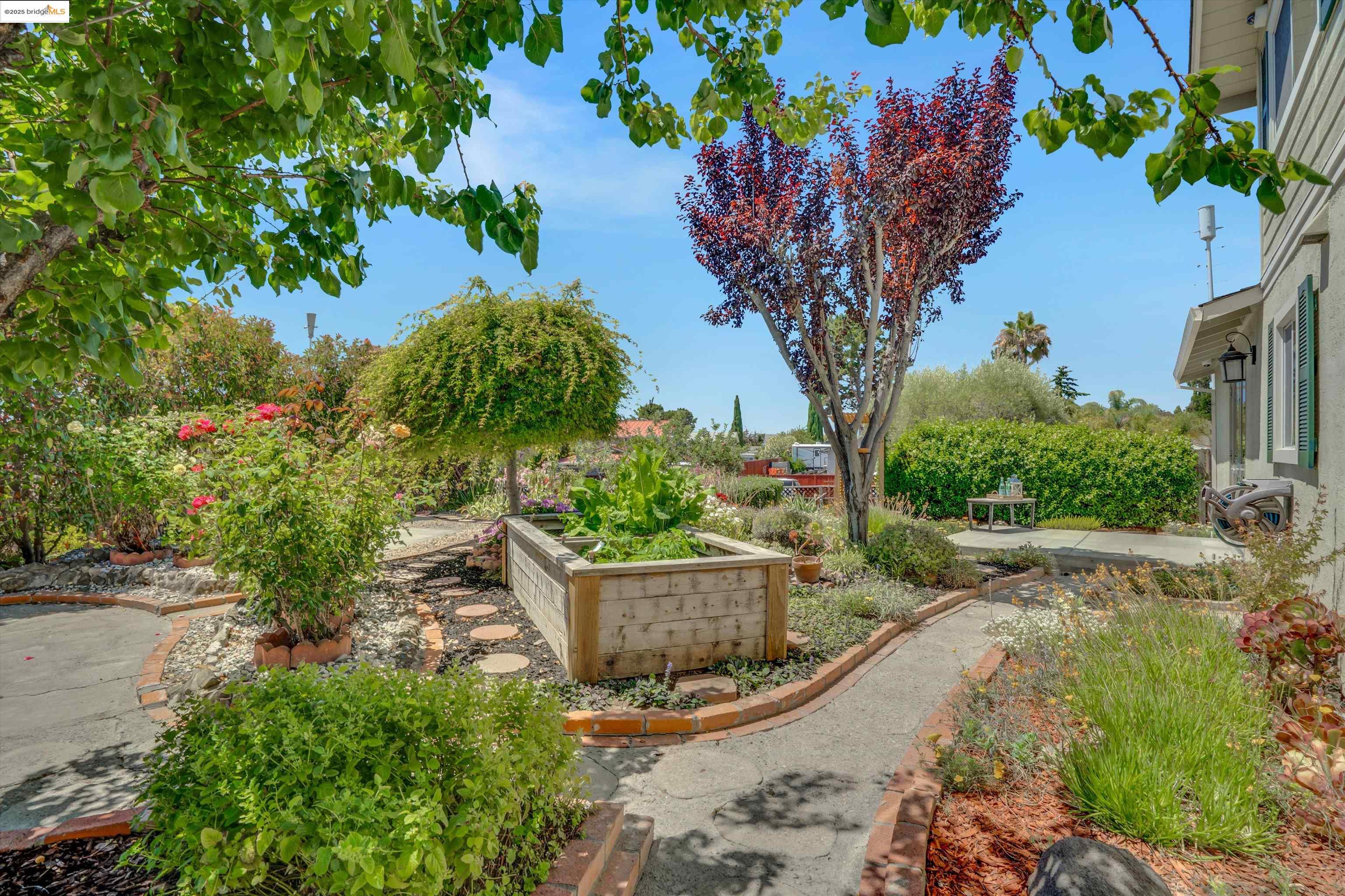 355 Appian Way