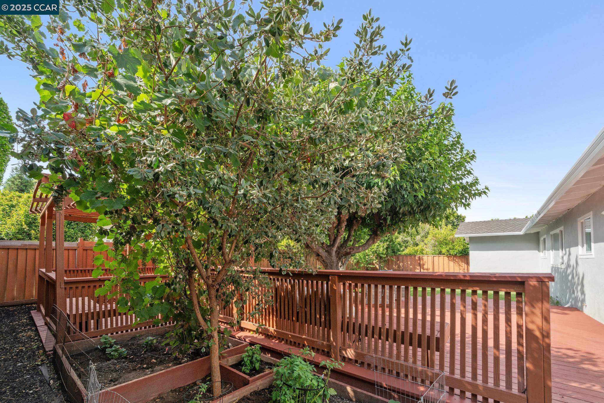 1786 Klier Drive