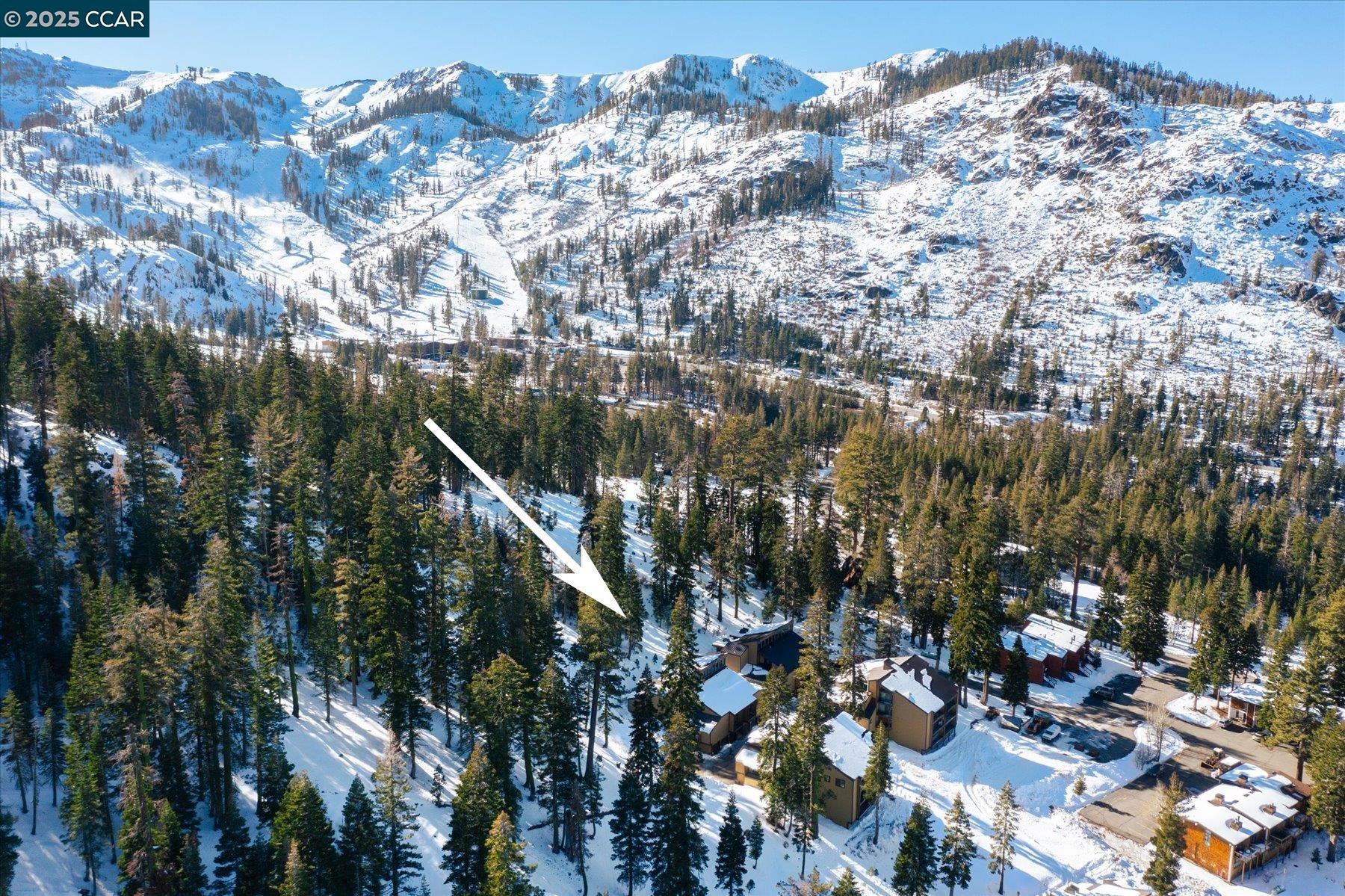 2201 Scott Peak Pl 49