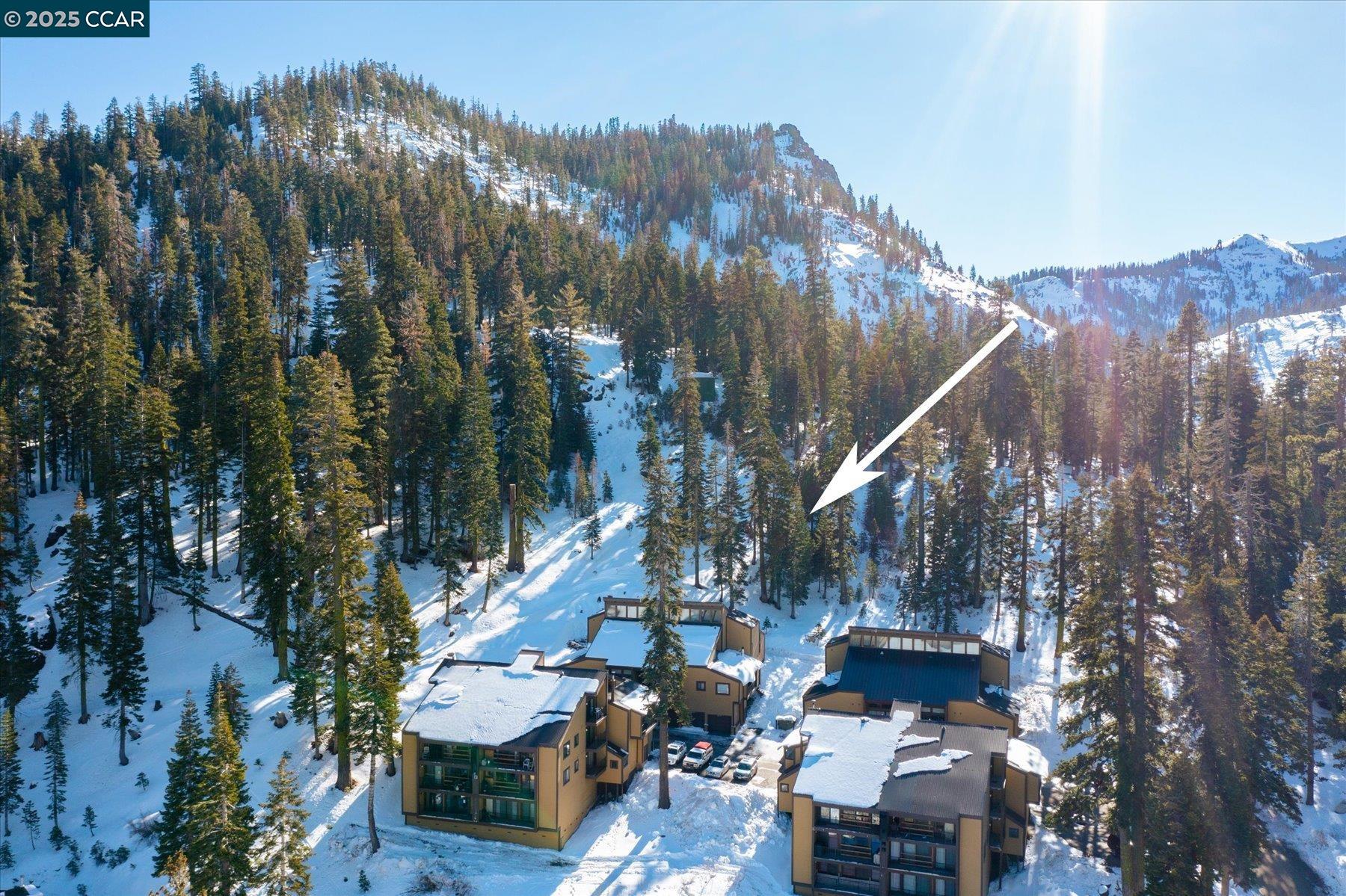 2201 Scott Peak Pl 49