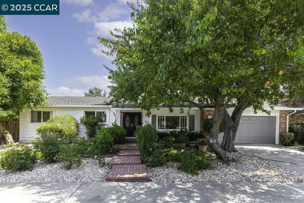 920 Savannah Ct