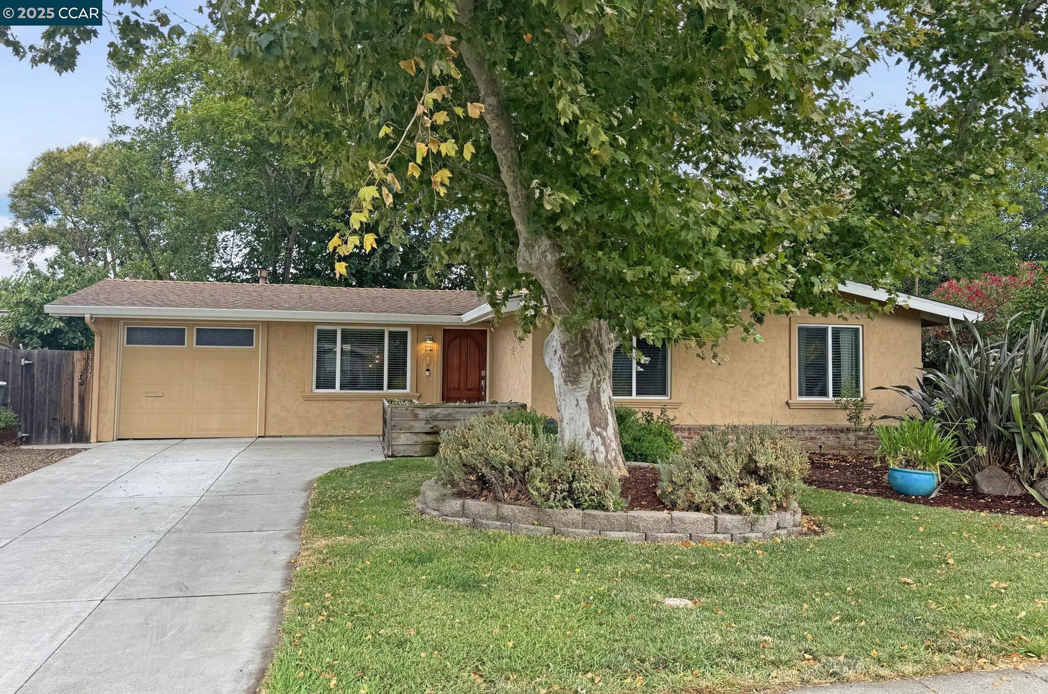 3337 Esperanza Dr
