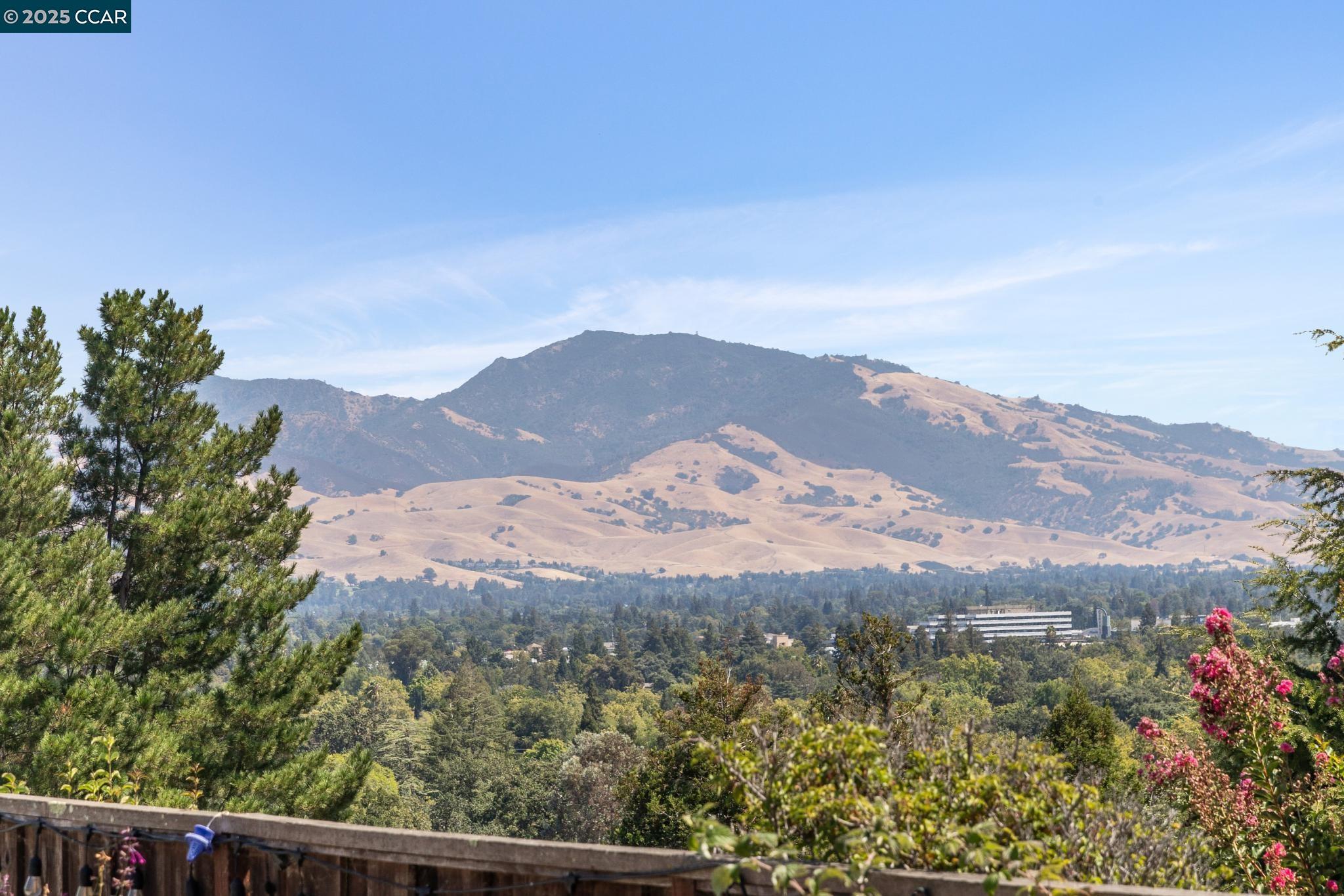 606 Old Vine Ct