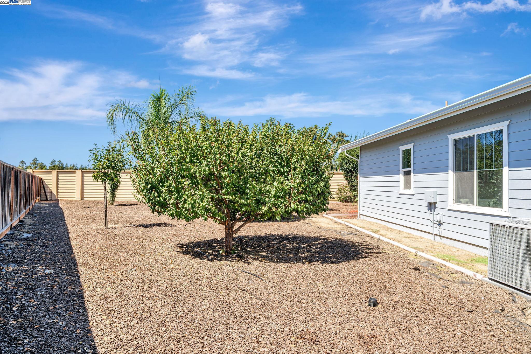 202 Sonia Way