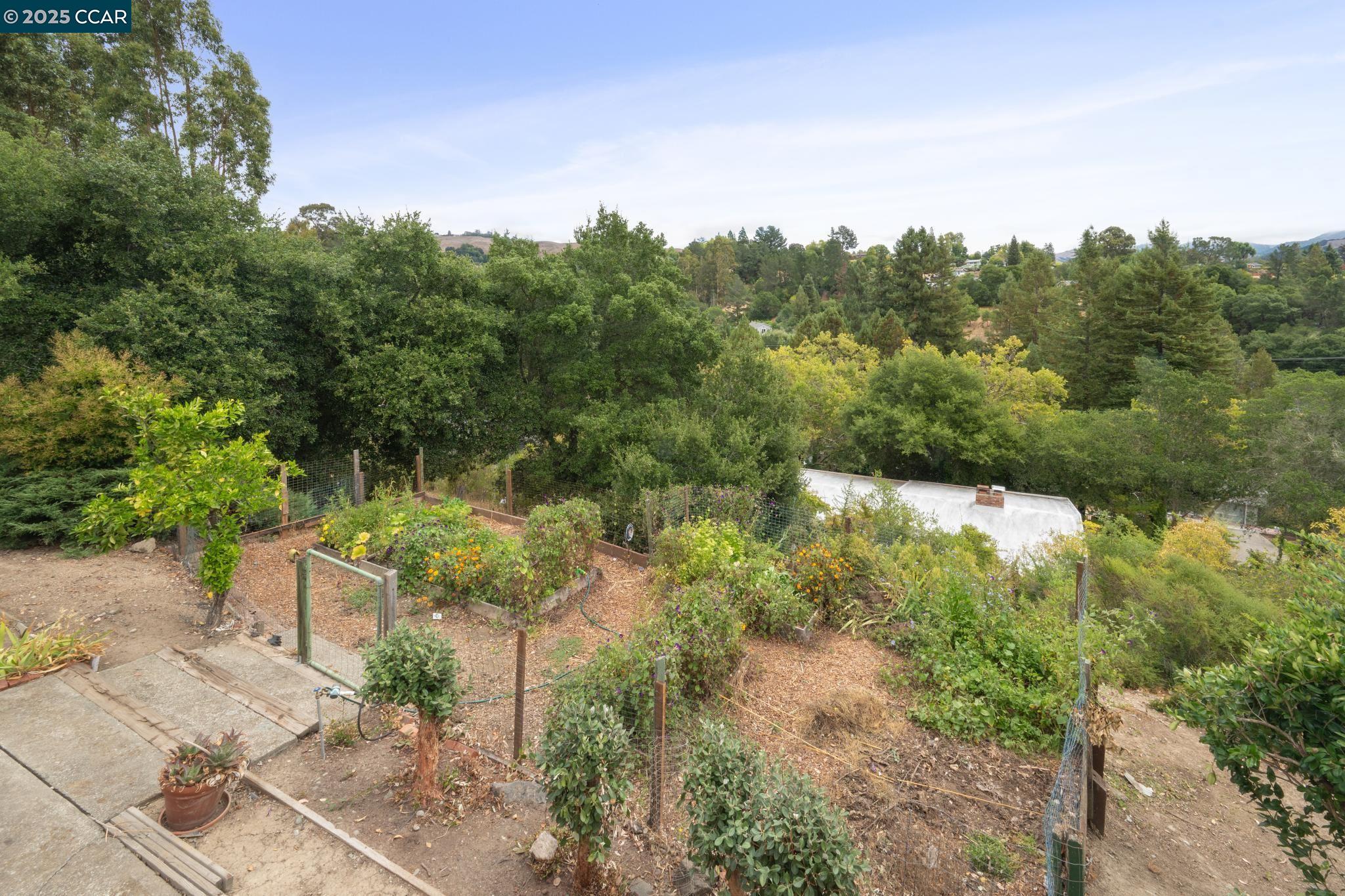 12 La Cresta Rd