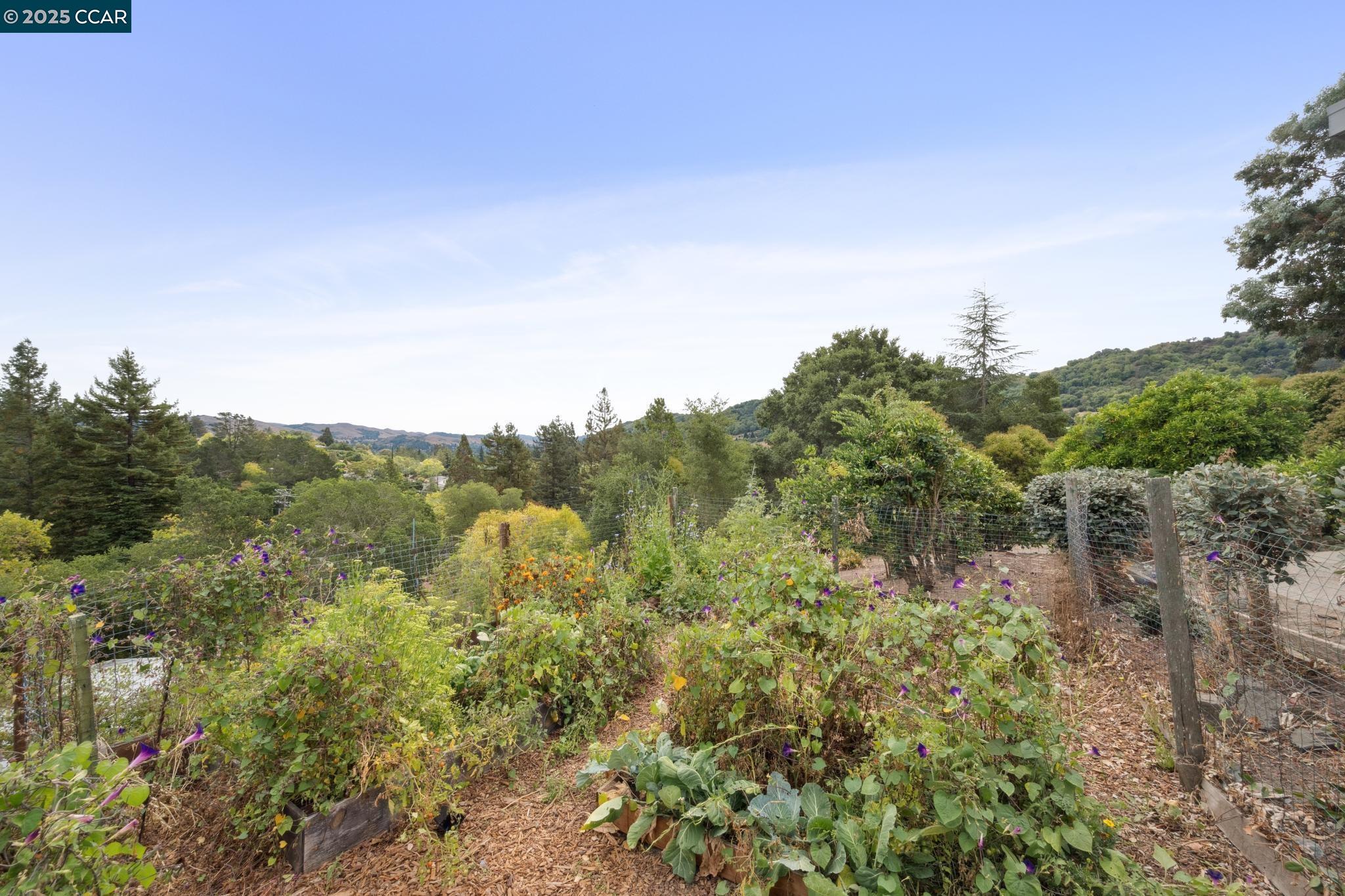 12 La Cresta Rd