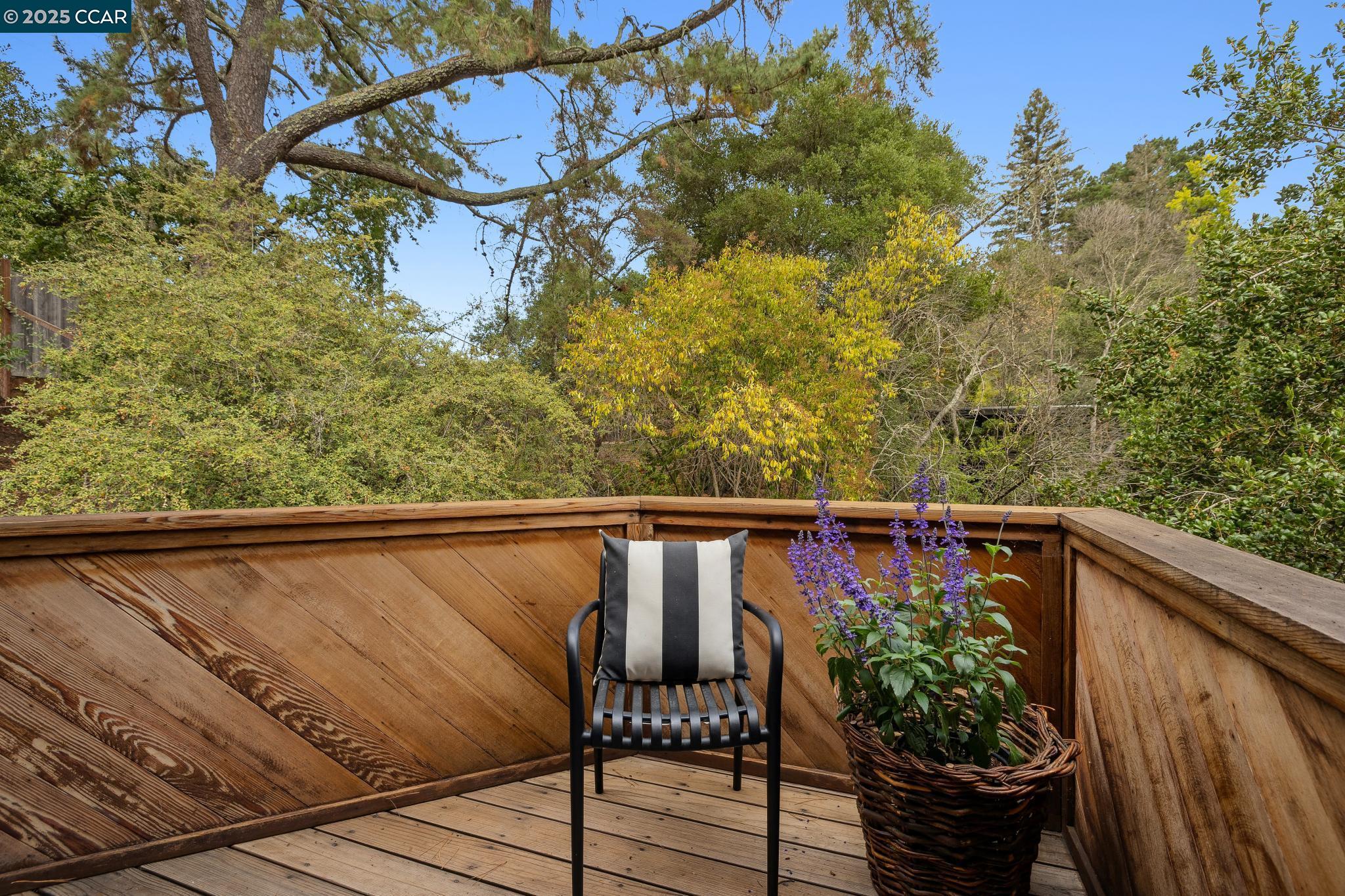 388 Camino Sobrante