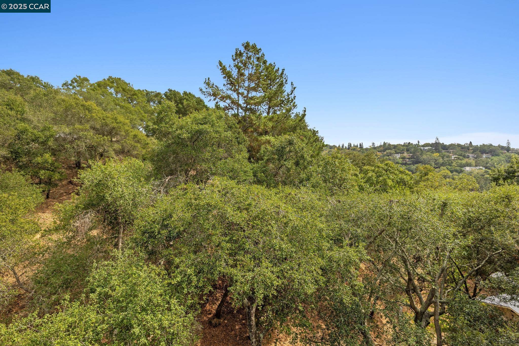 388 Camino Sobrante