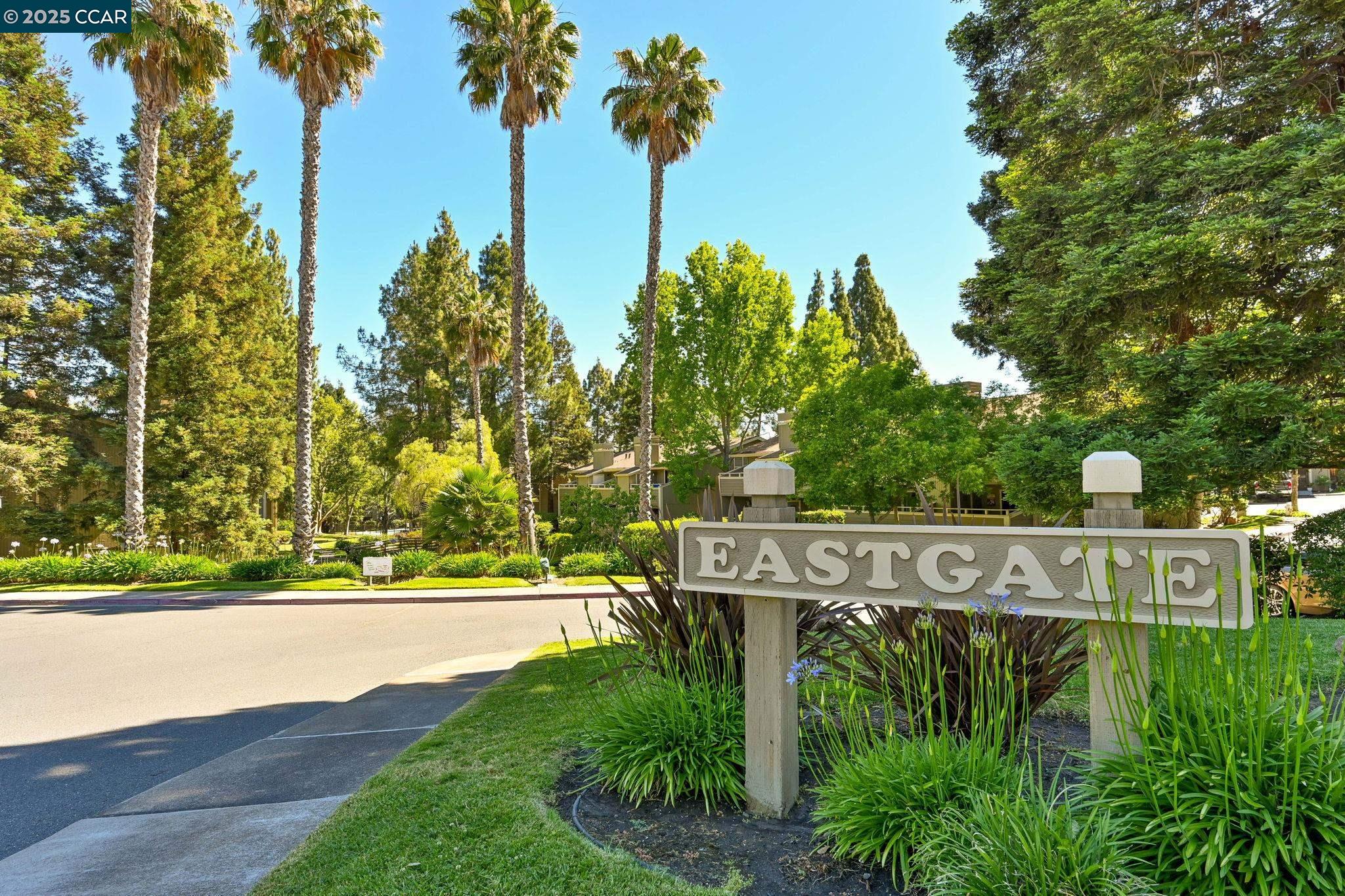 311 Eastgate Ln