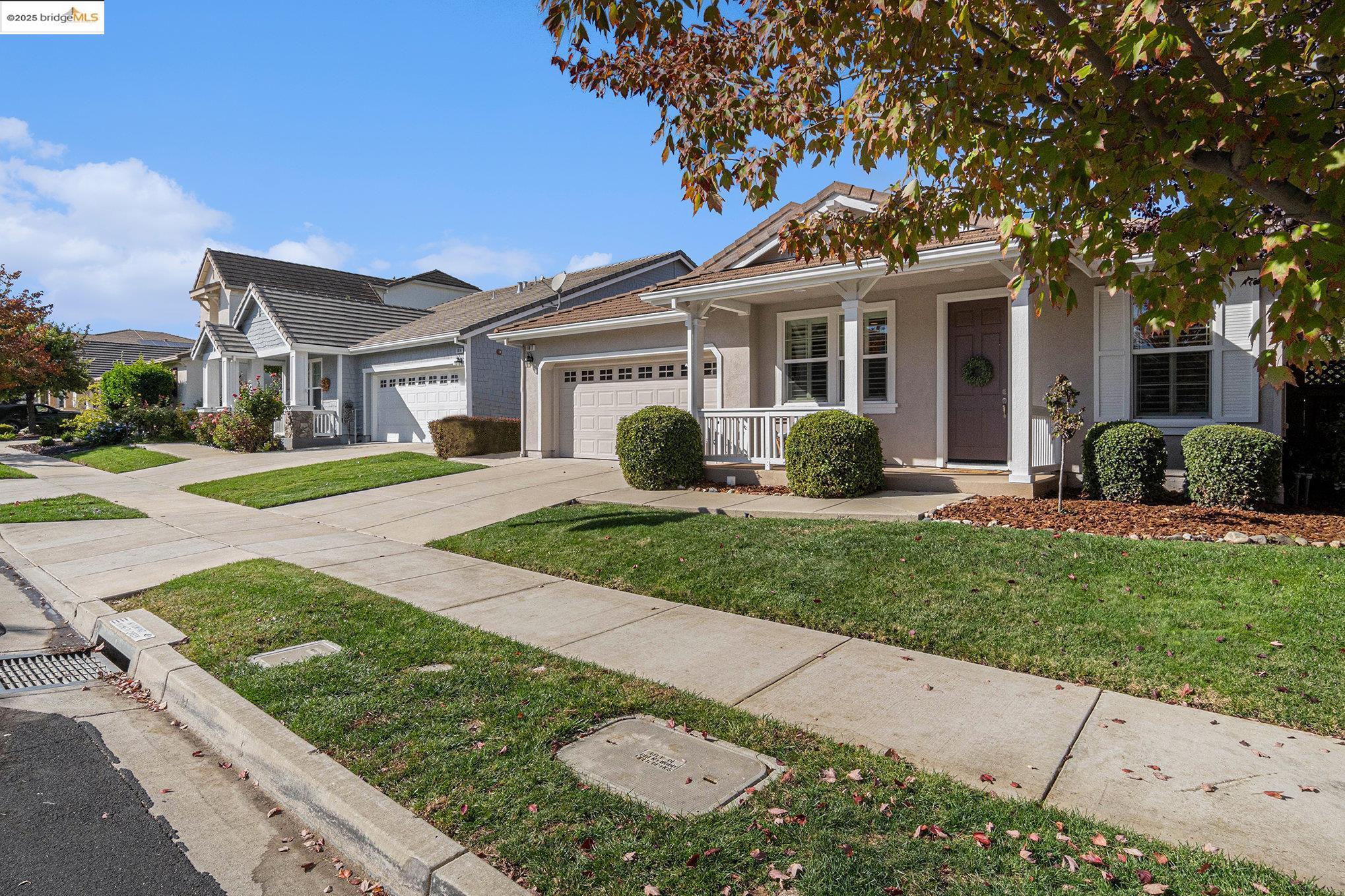 1817 Anastasia Dr