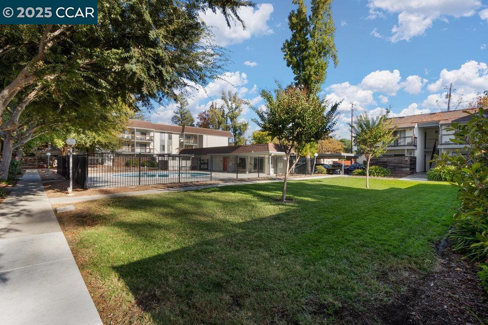 4081 Clayton Road # 218