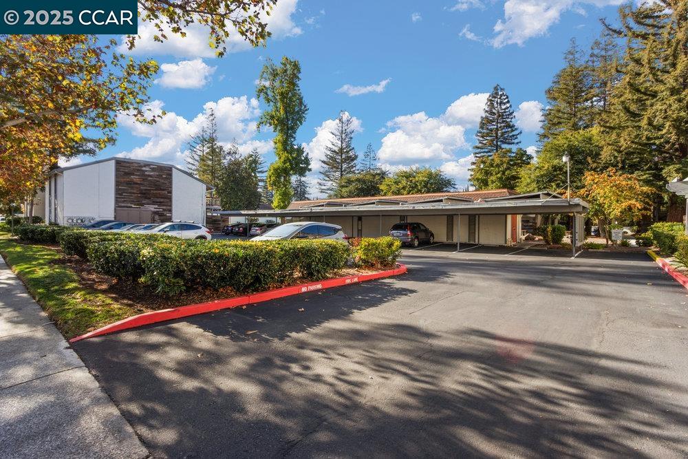 4081 Clayton Road # 218