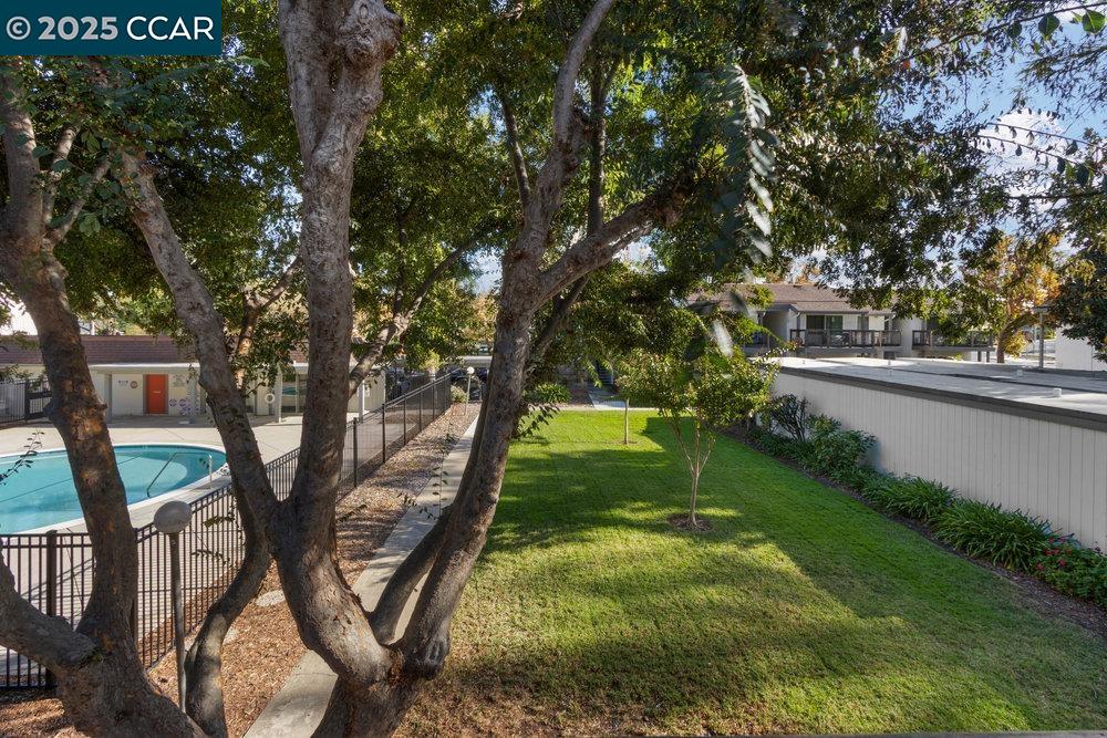 4081 Clayton Road # 218