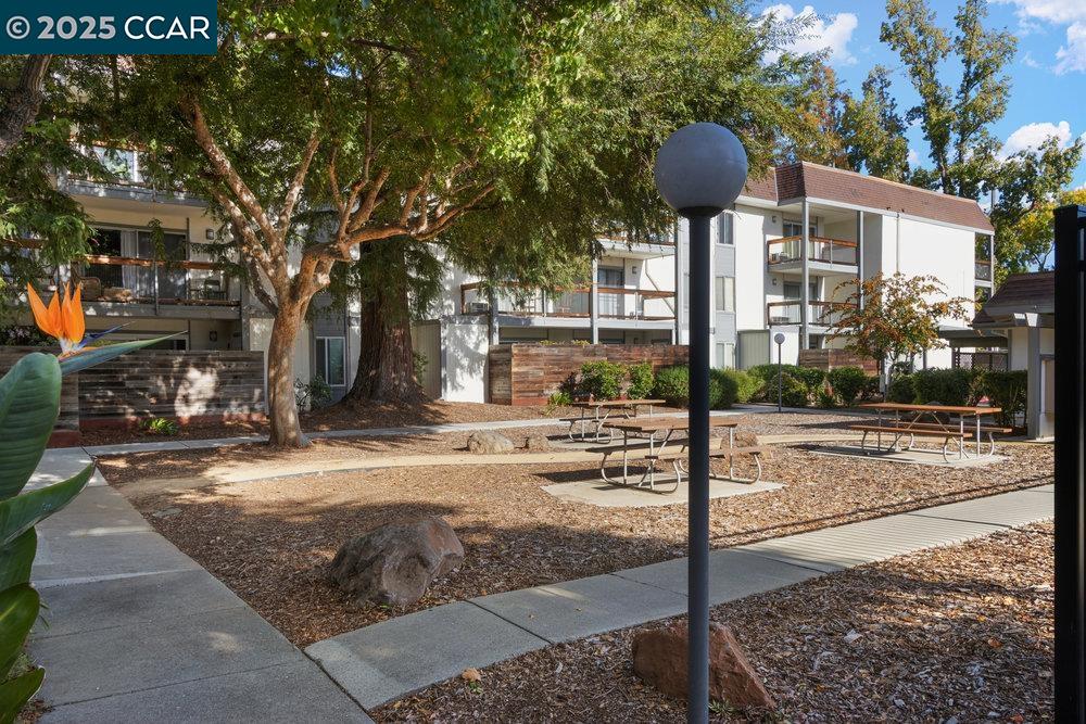 4081 Clayton Road # 218