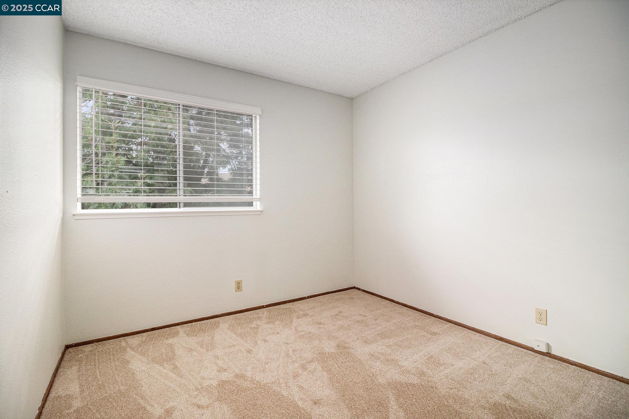 282 Coldsprings Ct