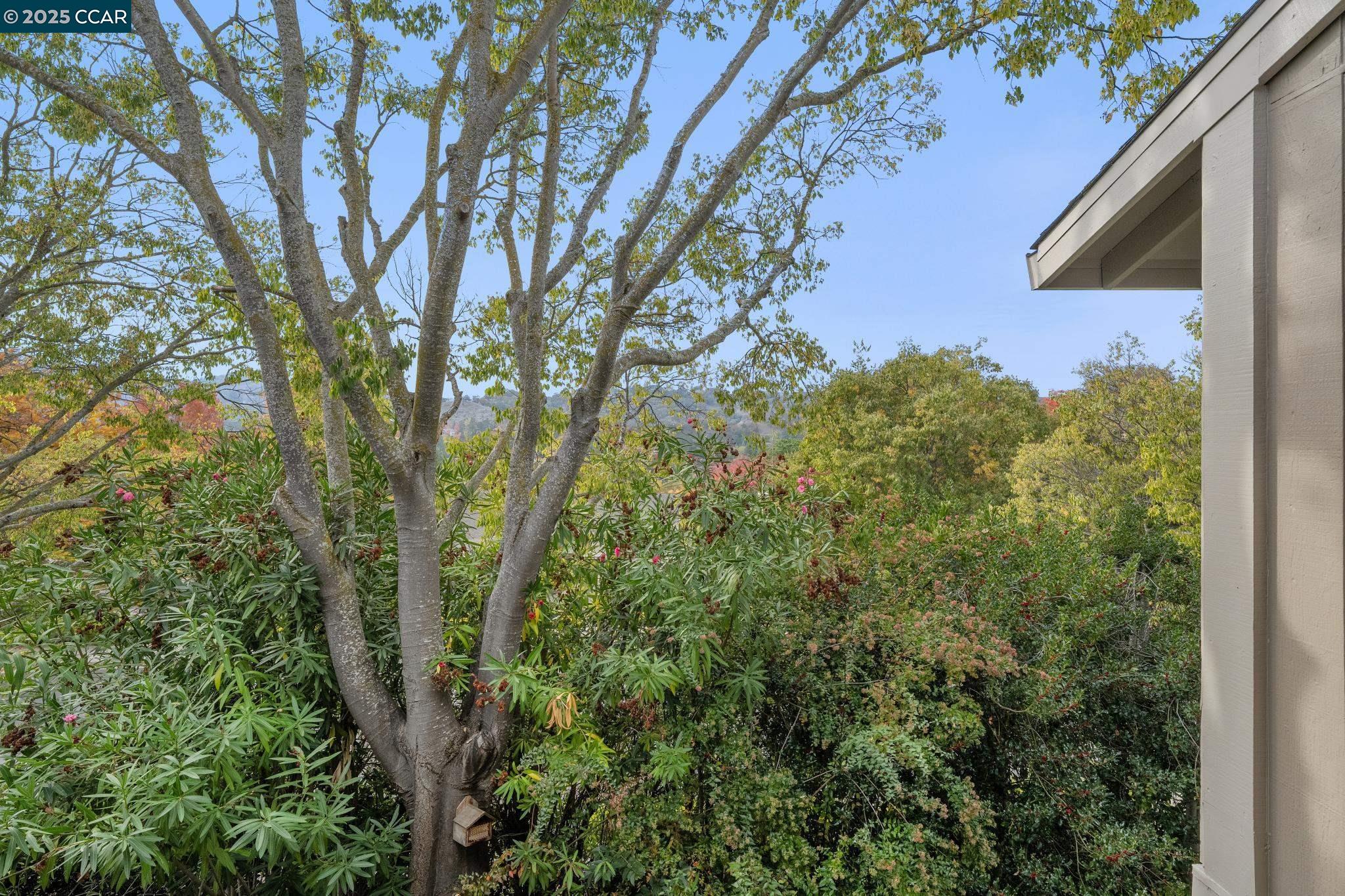 870 Terra California Dr # 5