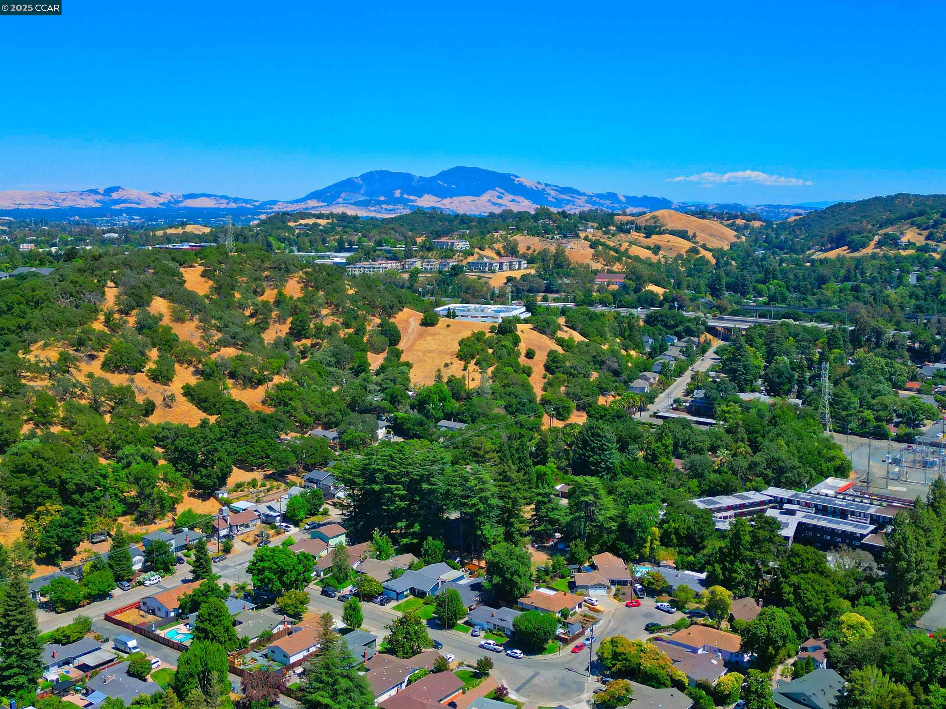 2514 Fern Leaf Ln